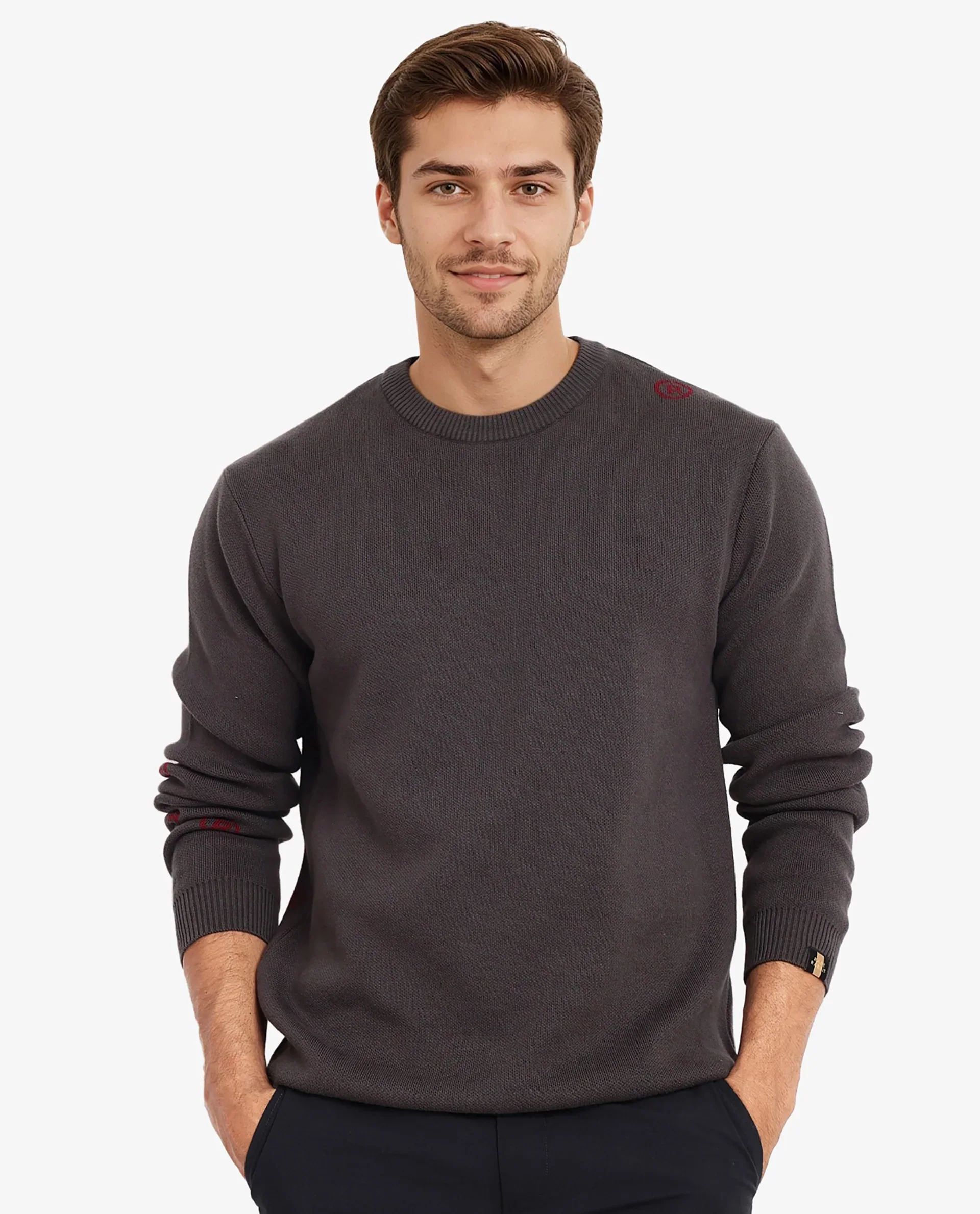 Rare Rabbit Men's Mario Dark Grey Cotton Monogram Print Regular Fit Full Sleeve Crew Neck Sweater