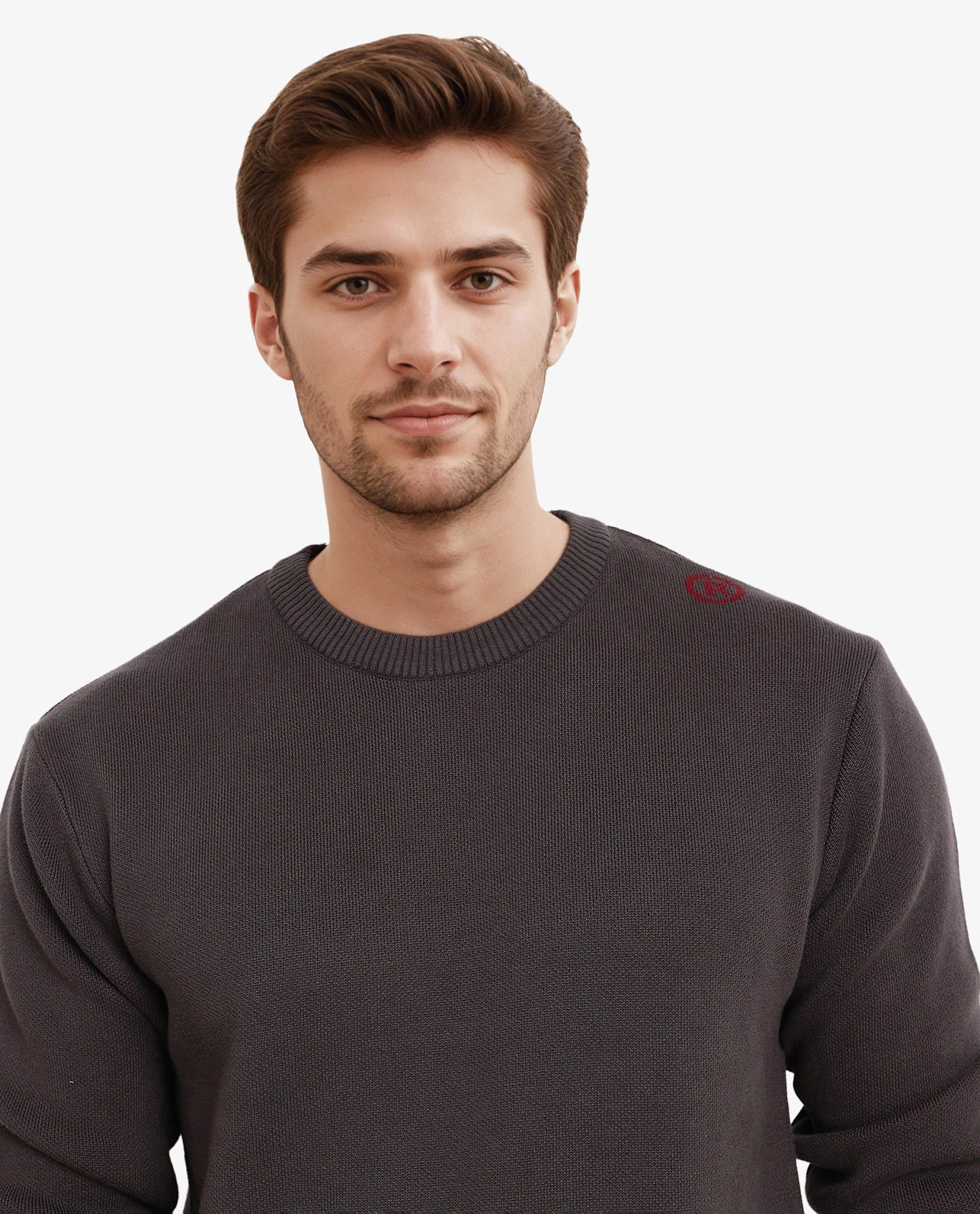 Rare Rabbit Men's Mario Dark Grey Cotton Monogram Print Regular Fit Full Sleeve Crew Neck Sweater - Image 2