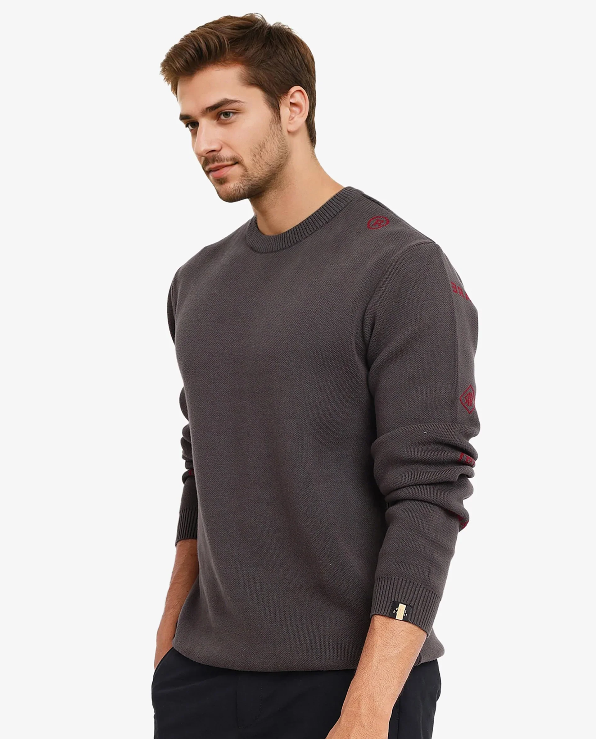 Rare Rabbit Men's Mario Dark Grey Cotton Monogram Print Regular Fit Full Sleeve Crew Neck Sweater - Image 4