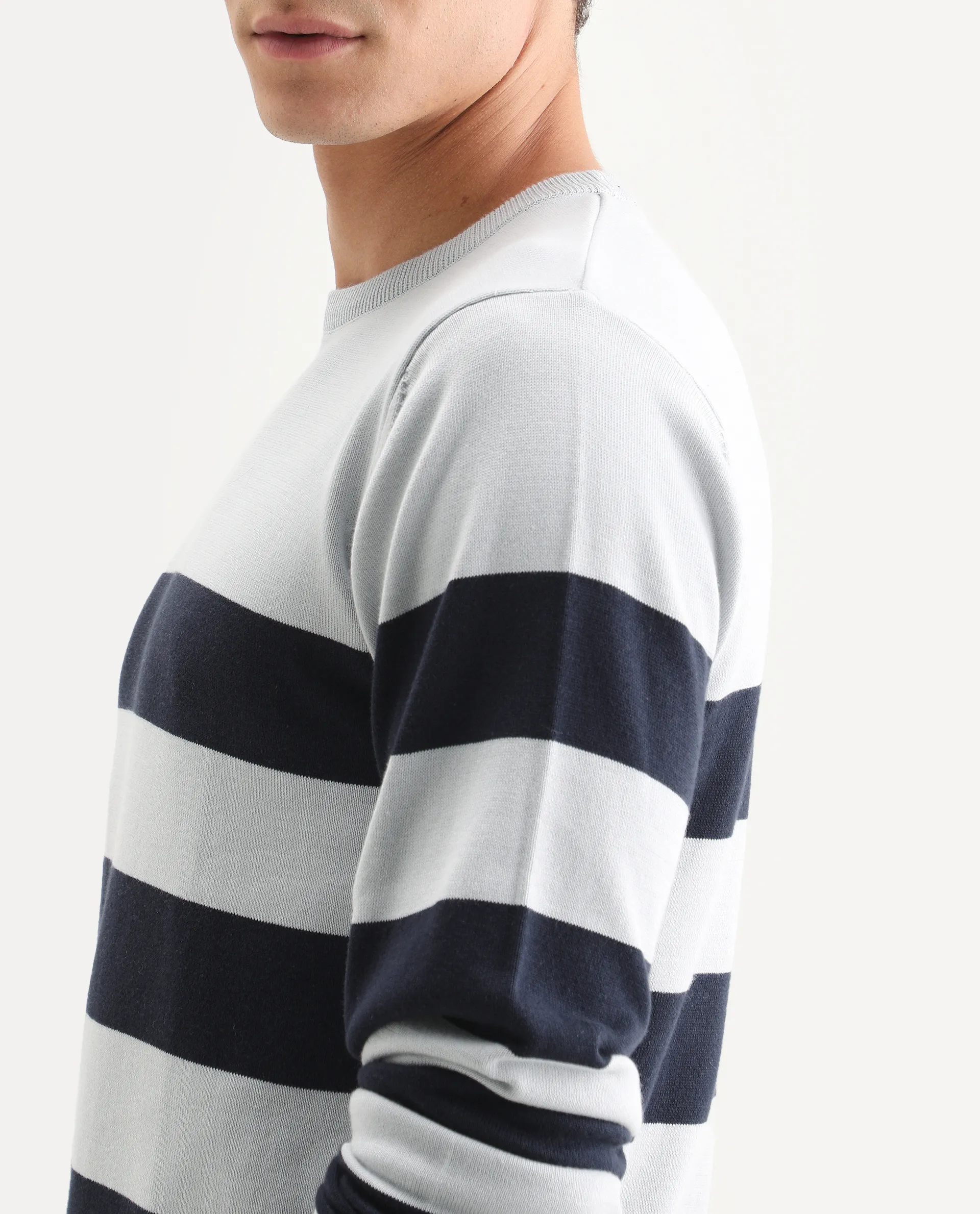 Rare Rabbit Men's Marri Navy Cotton Striped Print Regular Fit Full Sleeve Crew Neck Sweater - Image 4