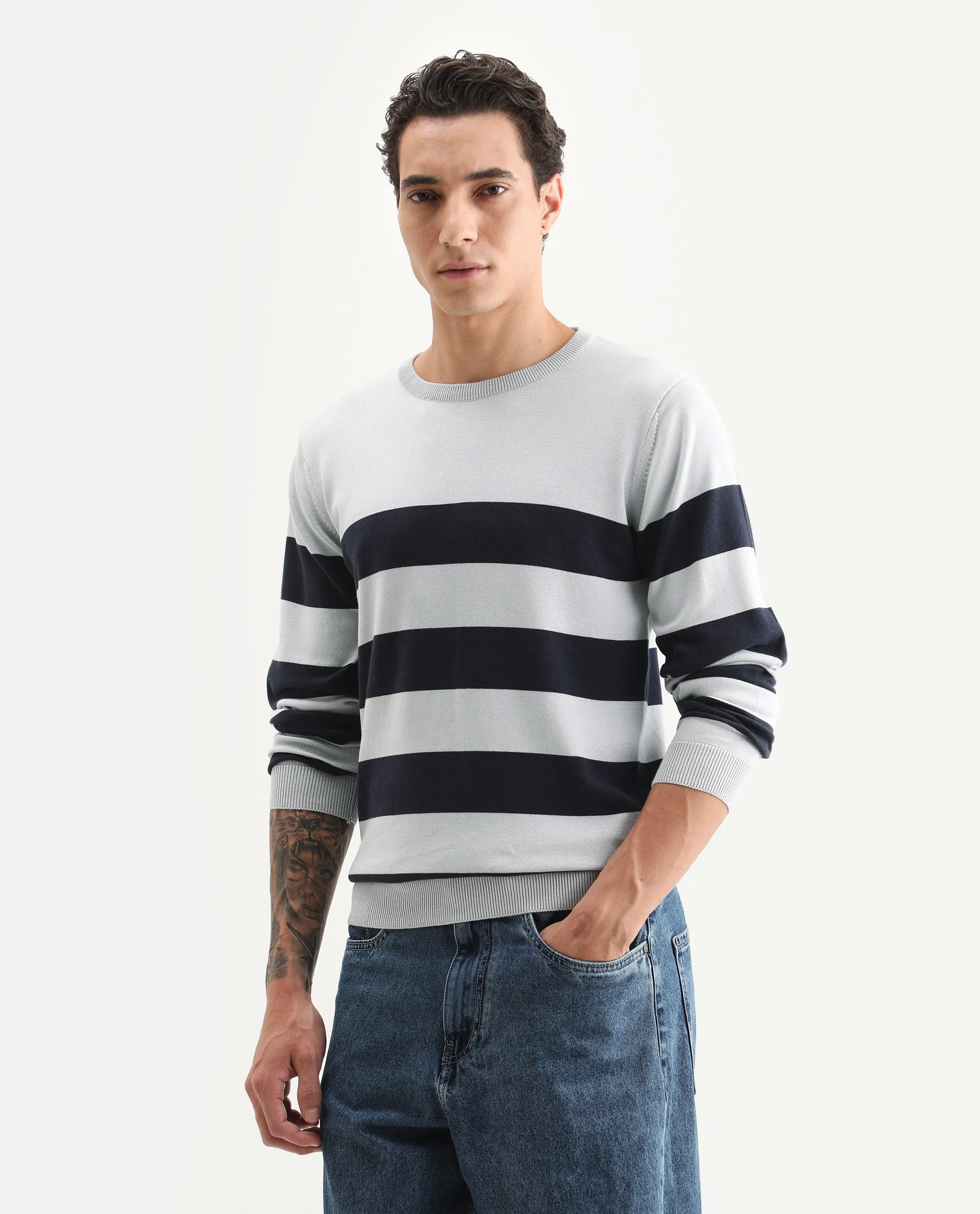 Rare Rabbit Men's Marri Navy Cotton Striped Print Regular Fit Full Sleeve Crew Neck Sweater - Image 5