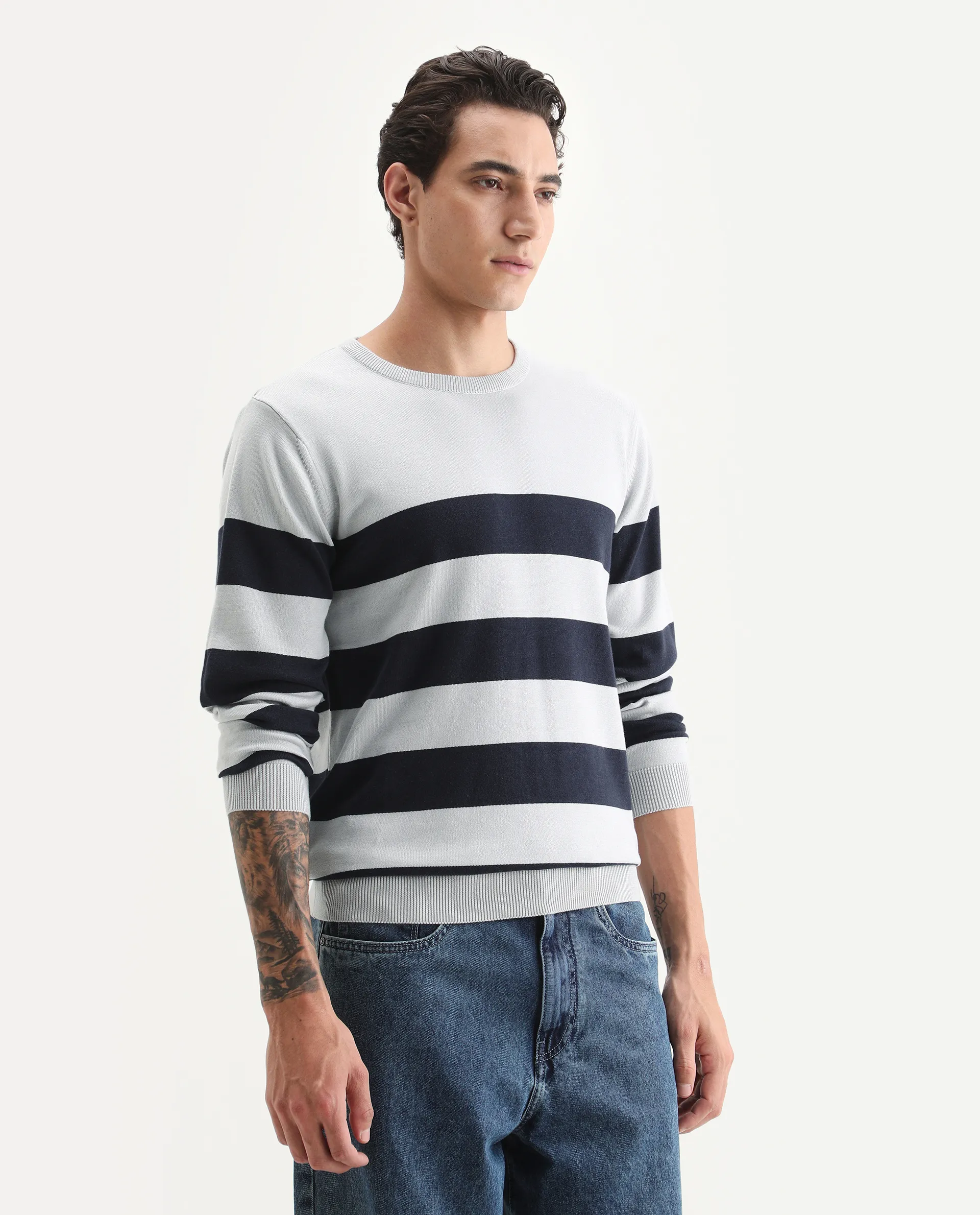 Rare Rabbit Men's Marri Navy Cotton Striped Print Regular Fit Full Sleeve Crew Neck Sweater - Image 6