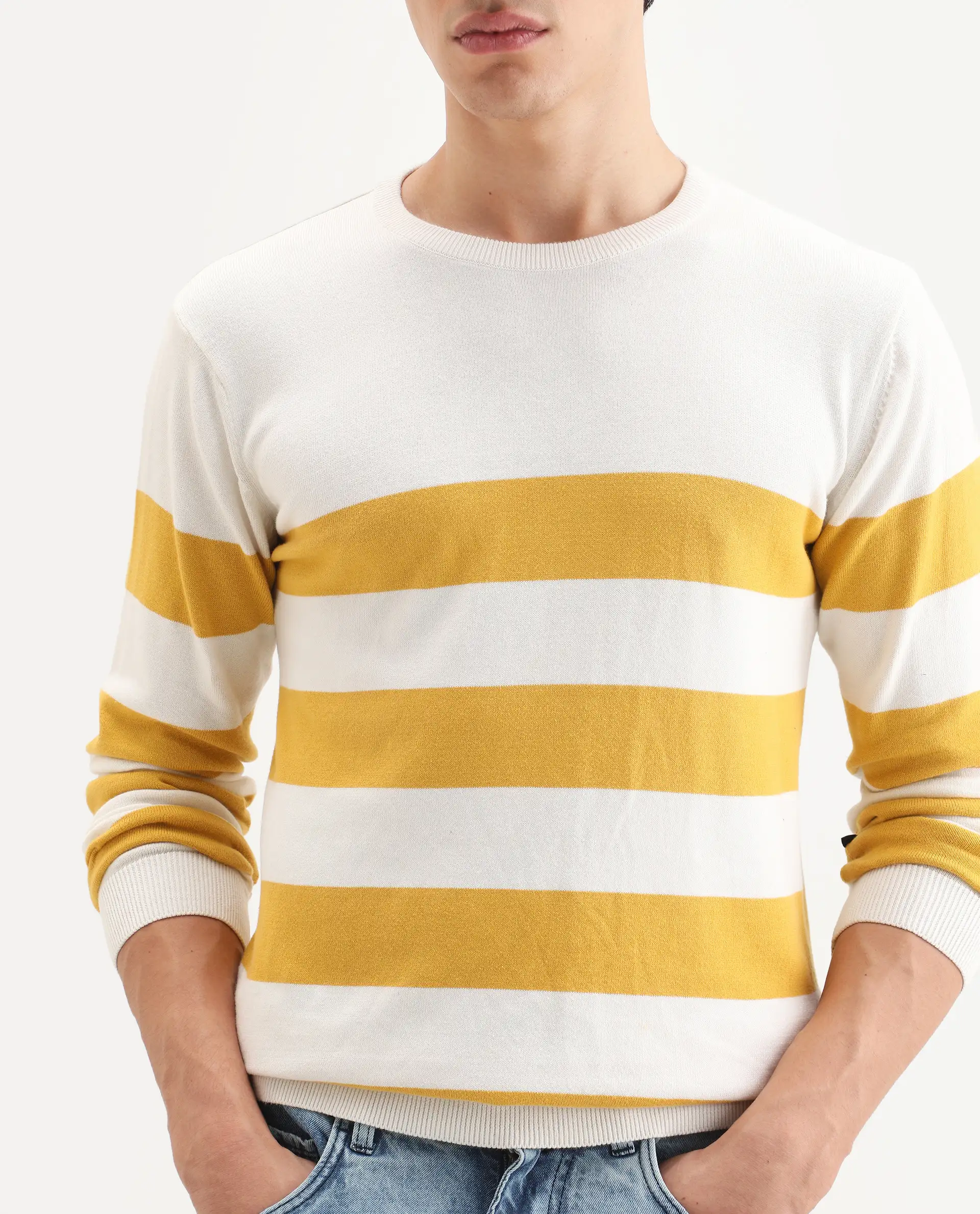 Rare Rabbit Men's Marri Yellow Cotton Striped Print Regular Fit Full Sleeve Crew Neck Sweater - Image 3