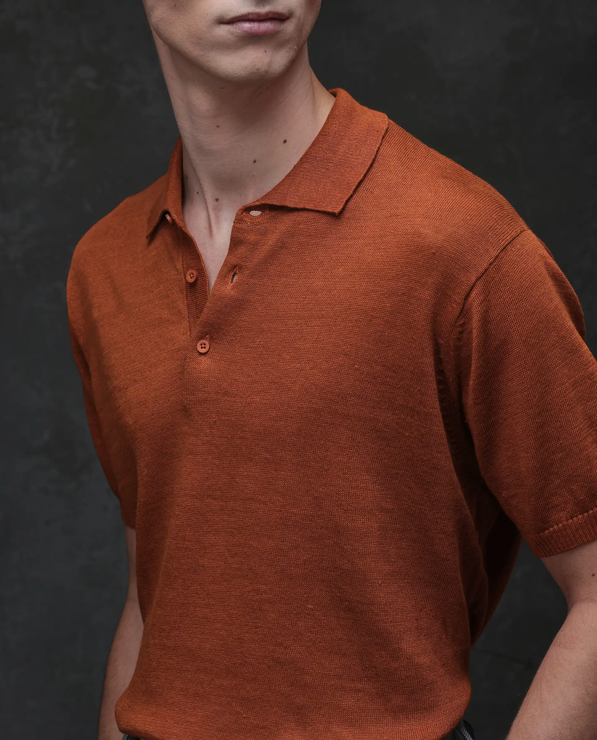 Rare Rabbit Men's Mekko Rust 100% Linen Plain Regular Fit Half Sleeve Polo - Image 3