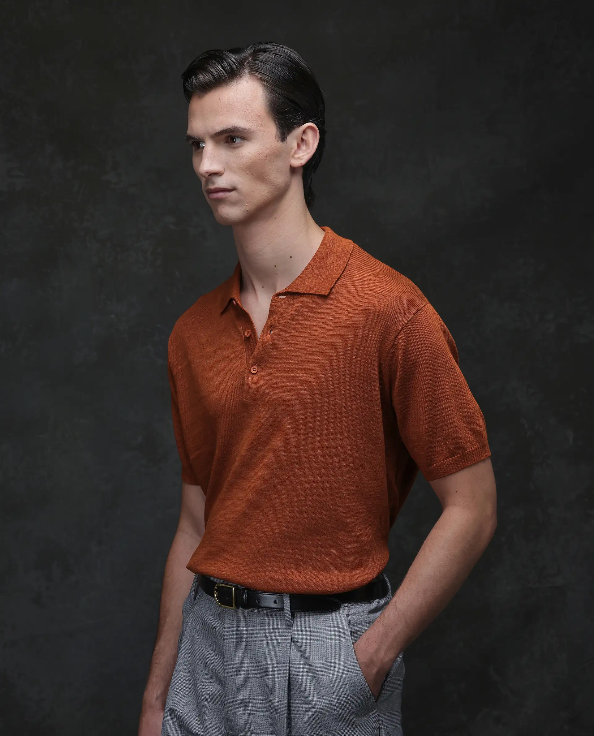 Rare Rabbit Men's Mekko Rust 100% Linen Plain Regular Fit Half Sleeve Polo - Image 5