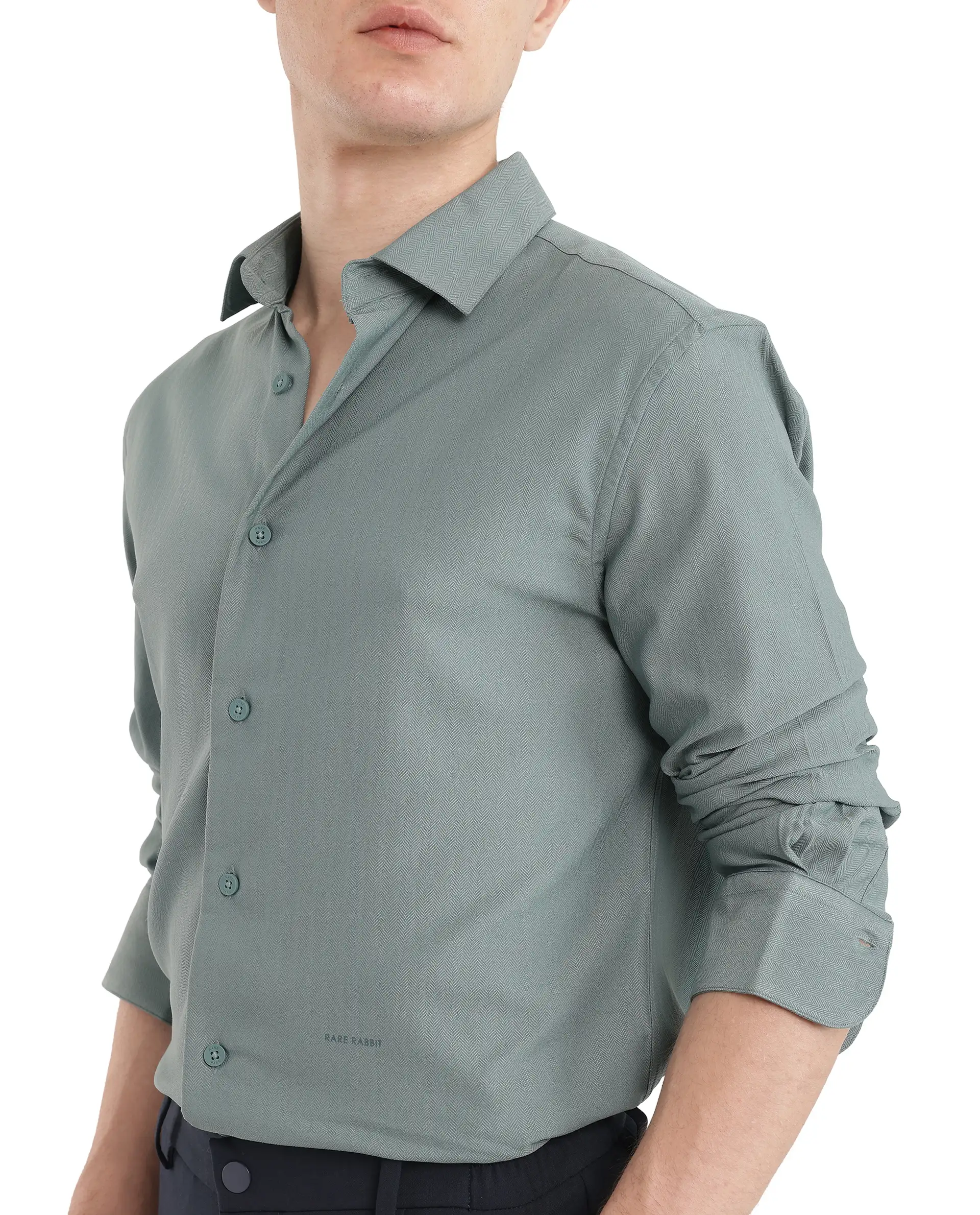 Rare Rabbit Men's Mer-25 Dusky Green Viscose Blend Textured Regular Fit Full Sleeve Collared Shirt - Image 4
