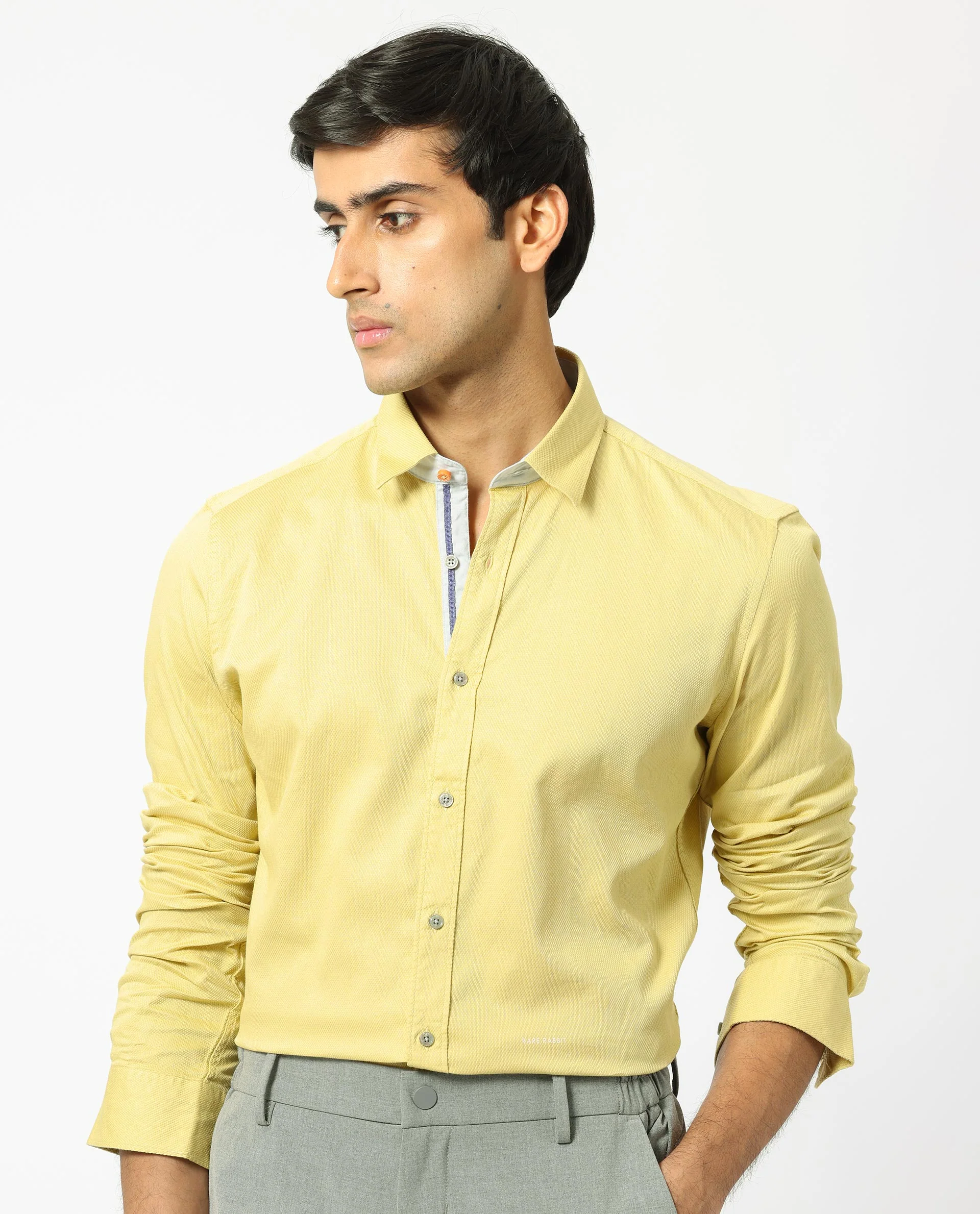 Rare Rabbit Men's Mond Yellow Cotton Plain Regular Fit Full Sleeve Collared Shirt - Image 7
