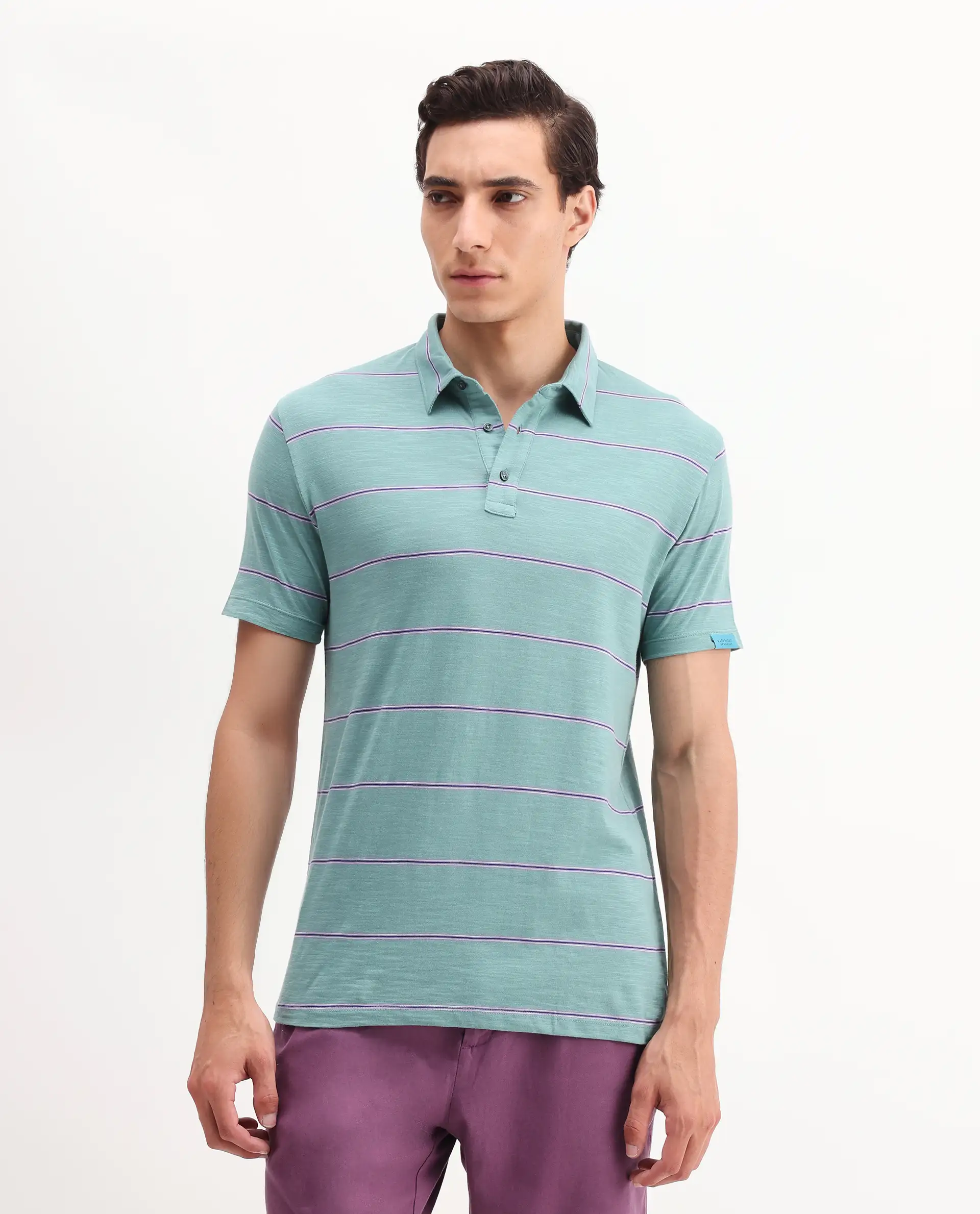 Rare Rabbit Men's Neonss Green Cotton Striped Print Regular Fit Half Sleeve Polo - Image 3