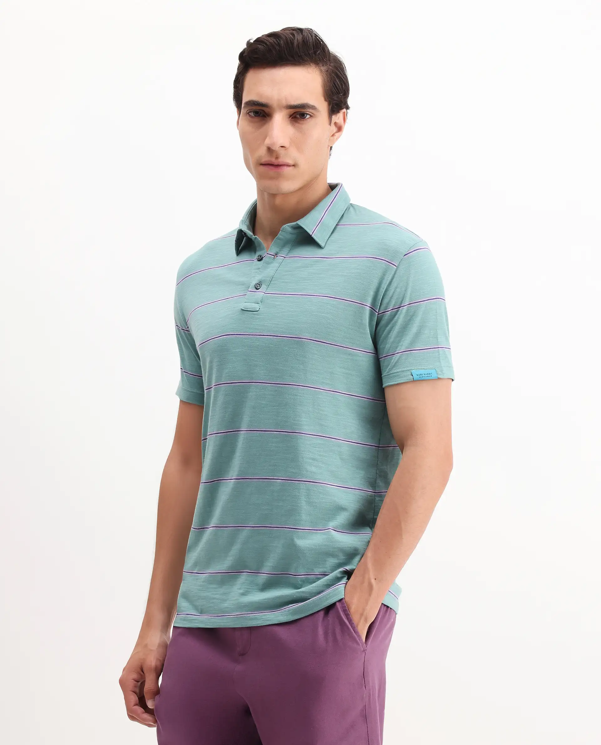 Rare Rabbit Men's Neonss Green Cotton Striped Print Regular Fit Half Sleeve Polo - Image 5