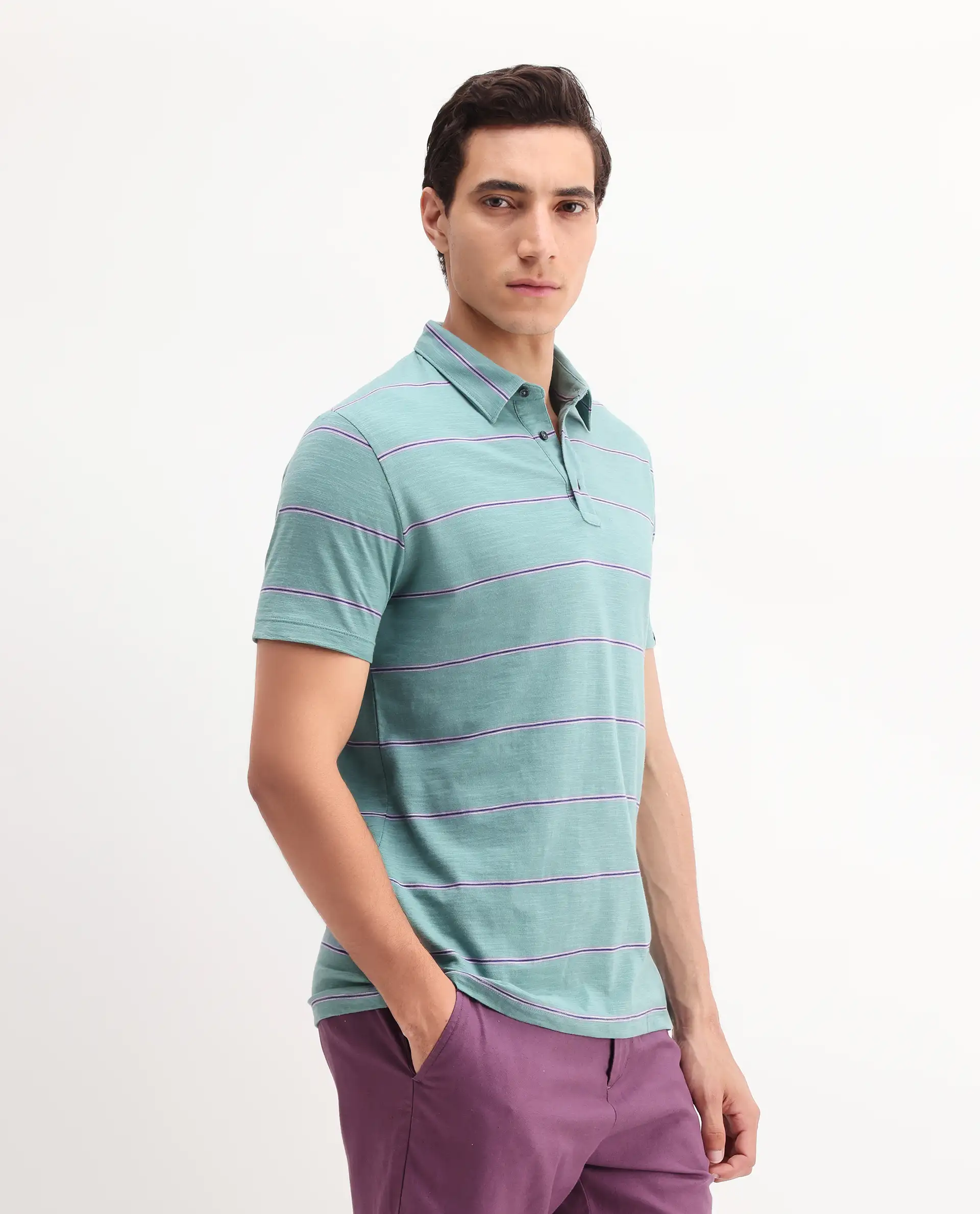 Rare Rabbit Men's Neonss Green Cotton Striped Print Regular Fit Half Sleeve Polo - Image 6