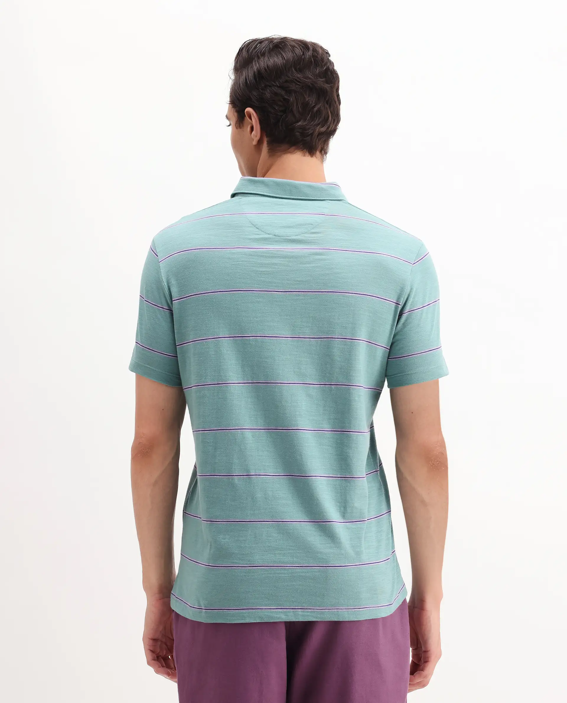 Rare Rabbit Men's Neonss Green Cotton Striped Print Regular Fit Half Sleeve Polo - Image 7