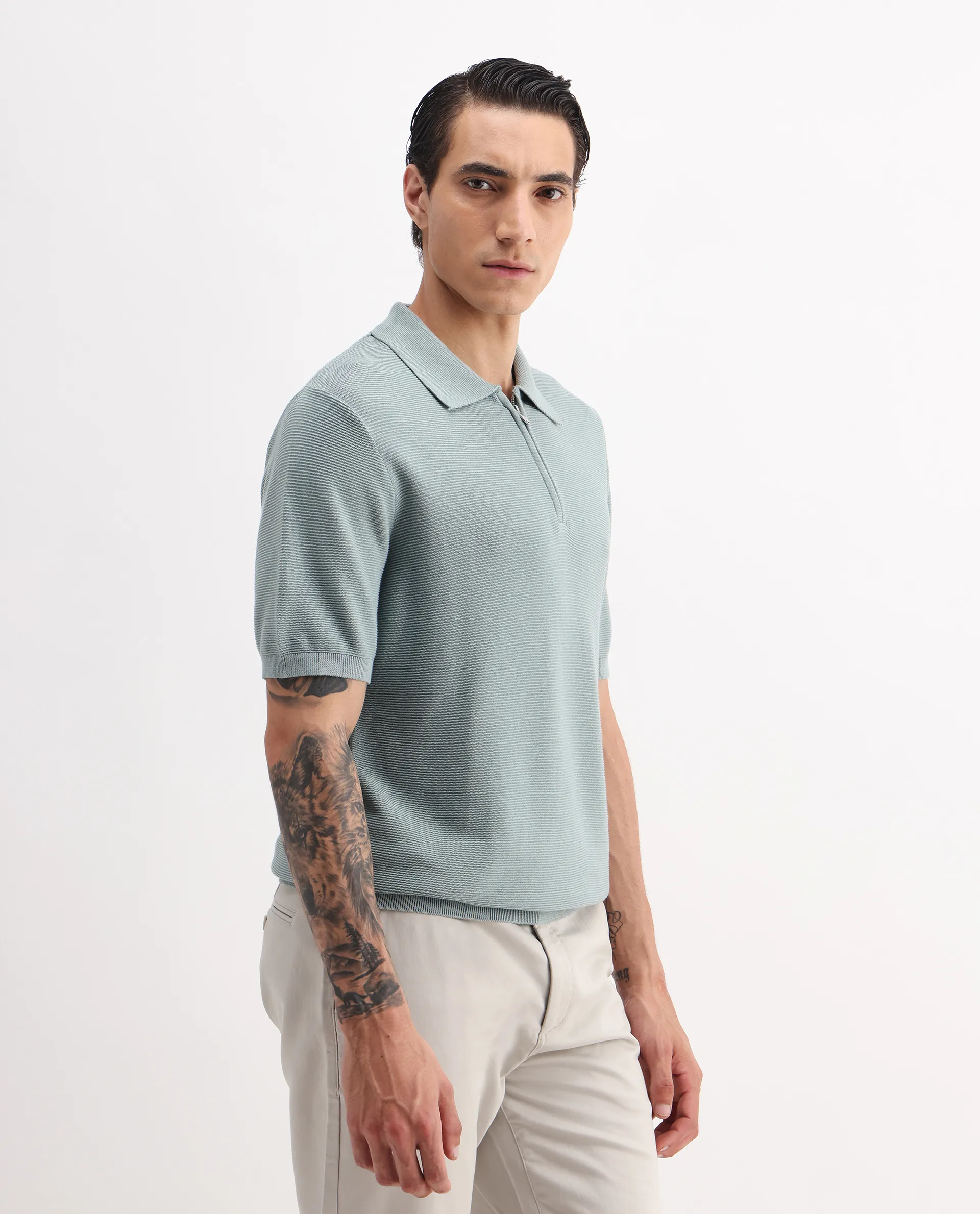 Rare Rabbit Men's Nett Dusky Green Cotton Plain Regular Fit Half Sleeve Polo - Image 6