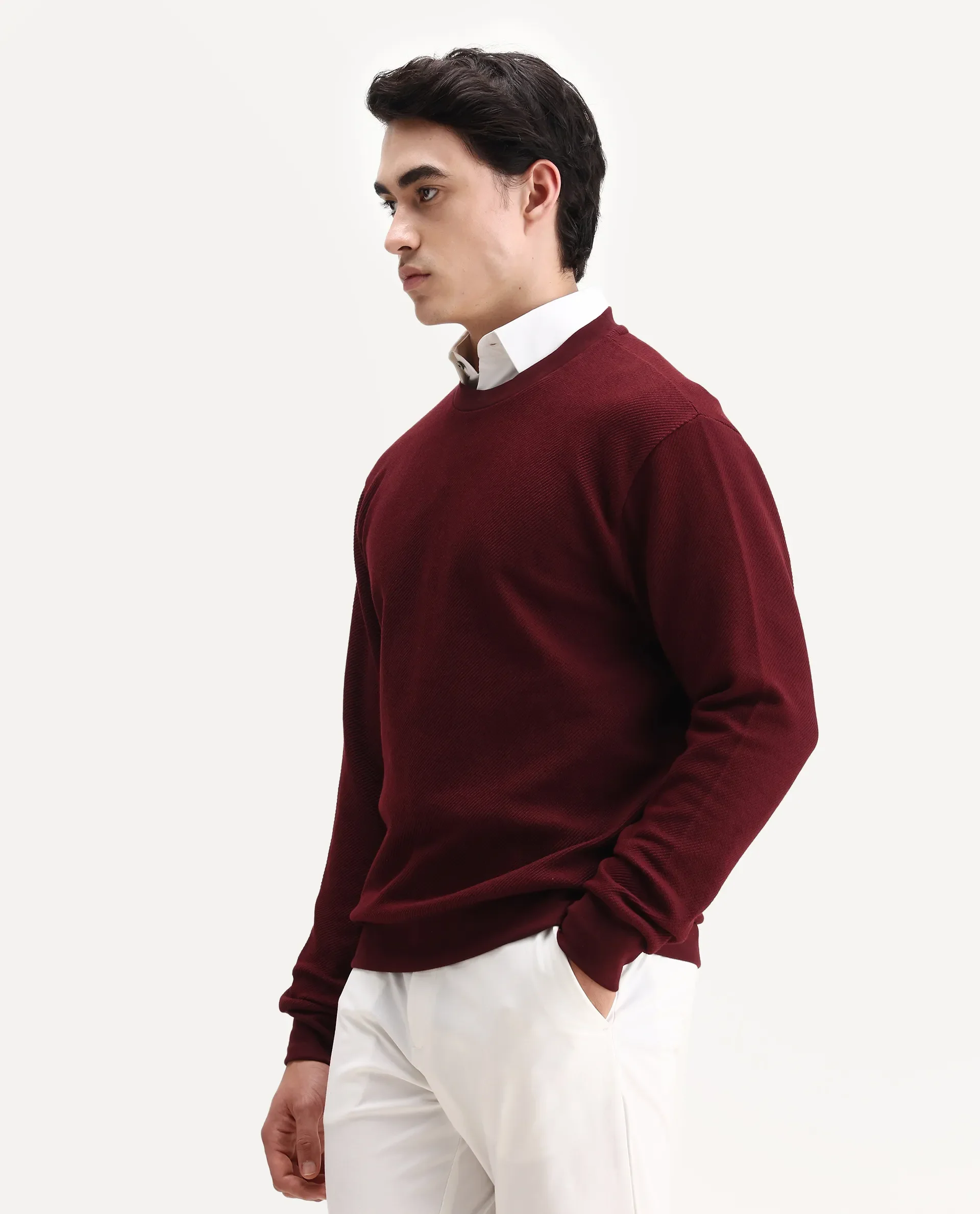 Rare Rabbit Men's Nial Dark Red Polyester Plain Regular Fit Full Sleeve Crew Neck Sweatshirt - Image 6