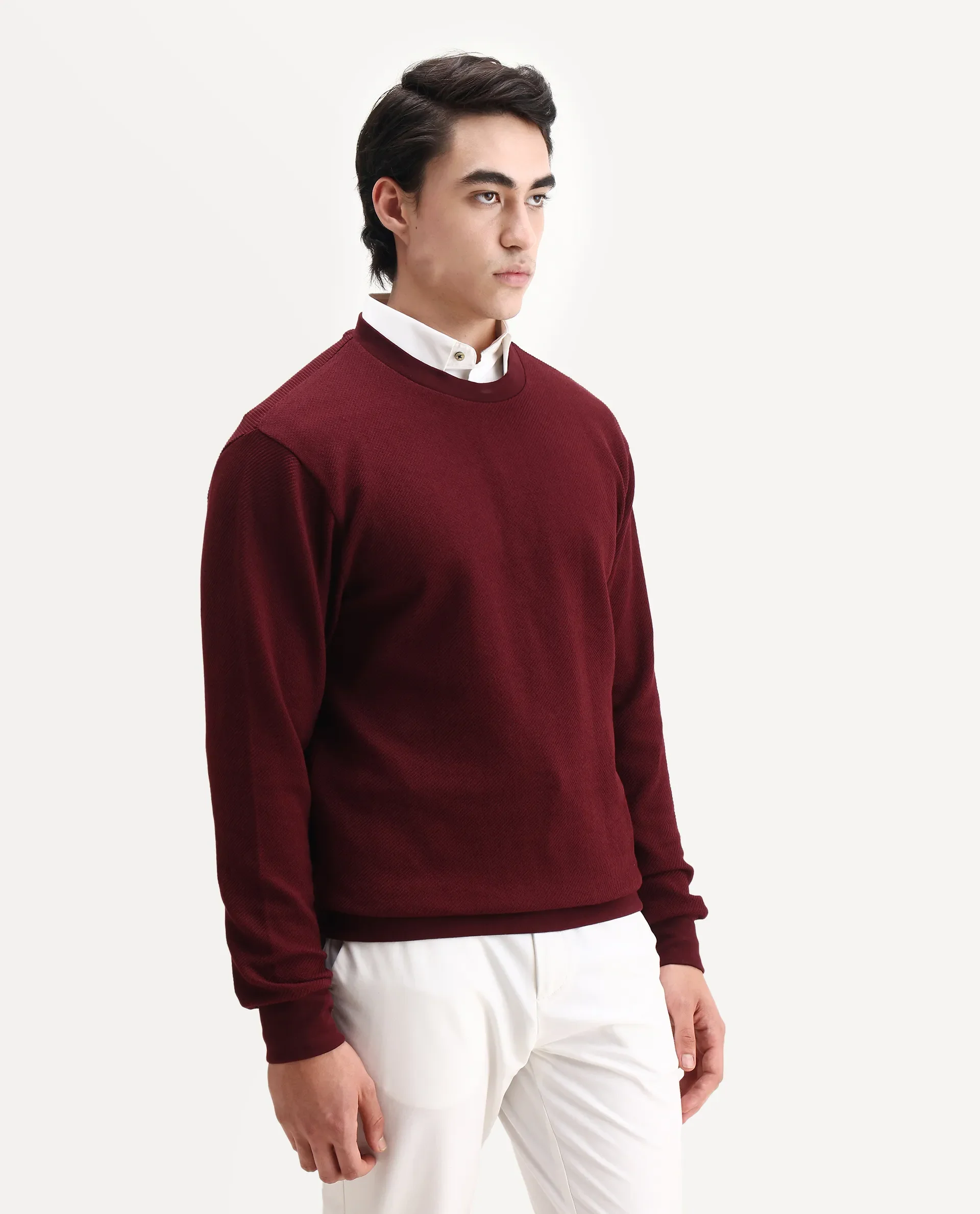 Rare Rabbit Men's Nial Dark Red Polyester Plain Regular Fit Full Sleeve Crew Neck Sweatshirt - Image 7