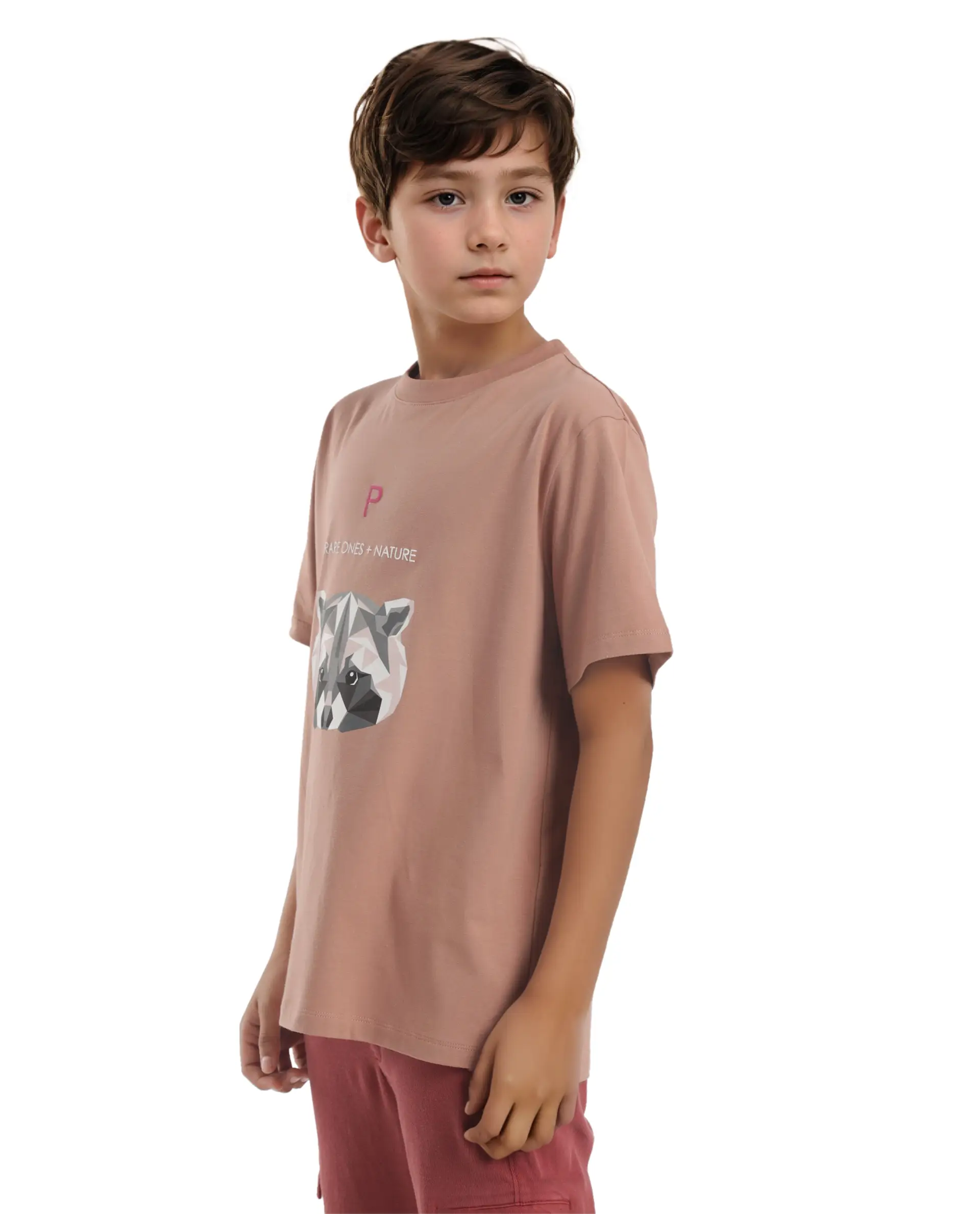 Rare Ones Kids Nito Orange Cotton Half Sleeves Crew Neck Regular Fit Animal Print T-Shirt - Image 6