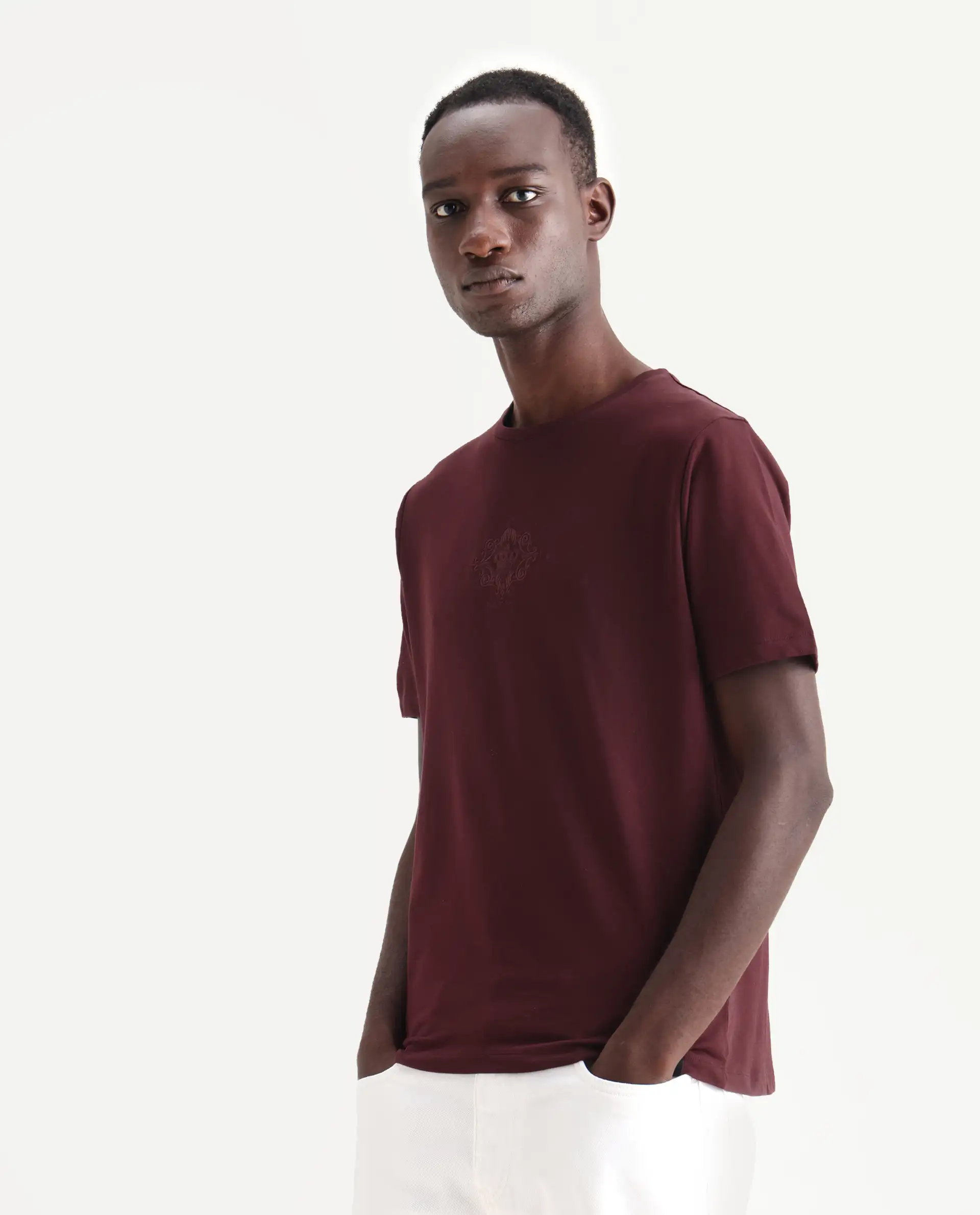 Rare Rabbit Men's Nok Maroon Cotton Embroidered Regular Fit Half Sleeve Crew Neck T-Shirt - Image 5