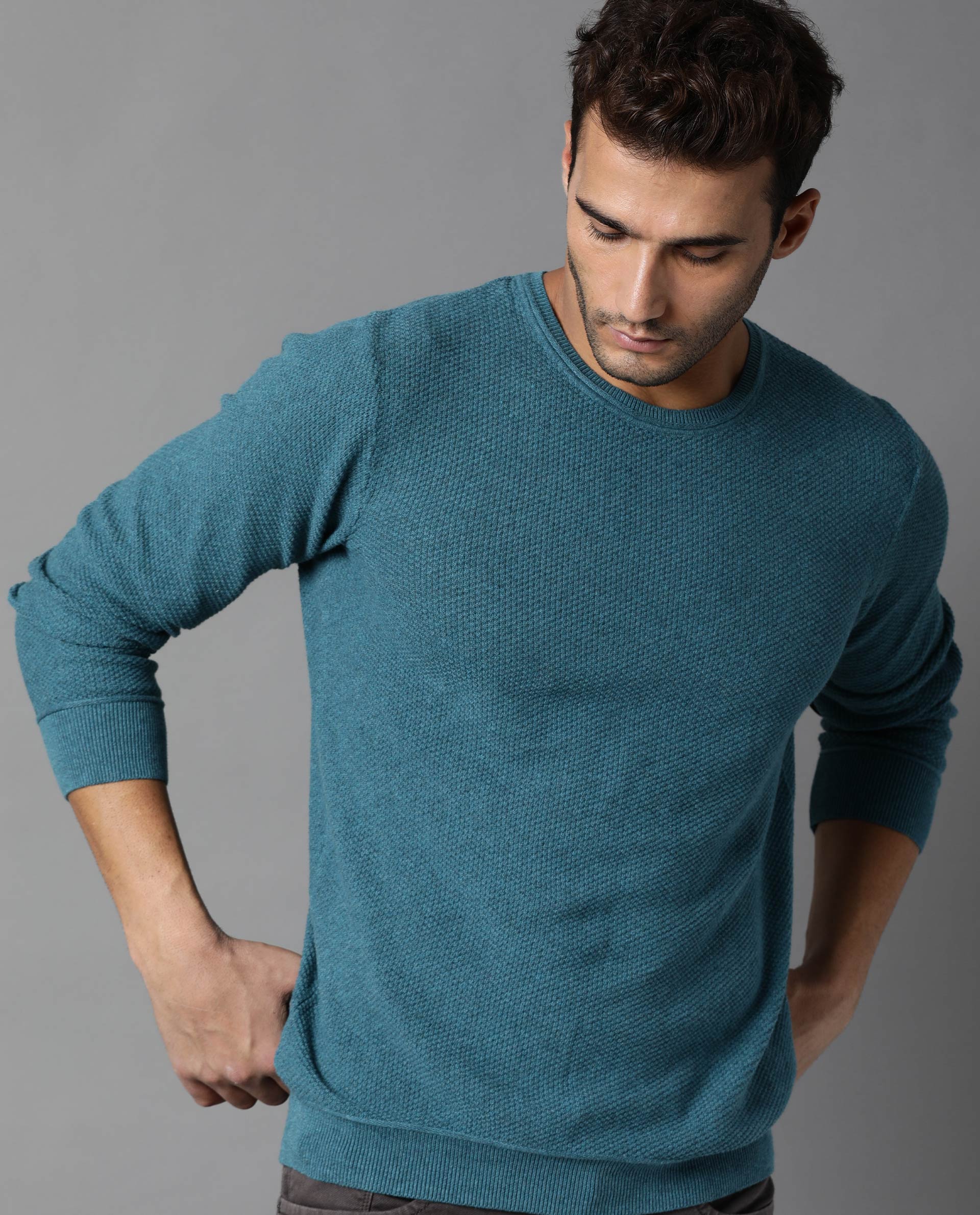 Rare Rabbit Men's Norway Turq Cotton Plain Regular Fit Full Sleeve Crew Neck Sweater