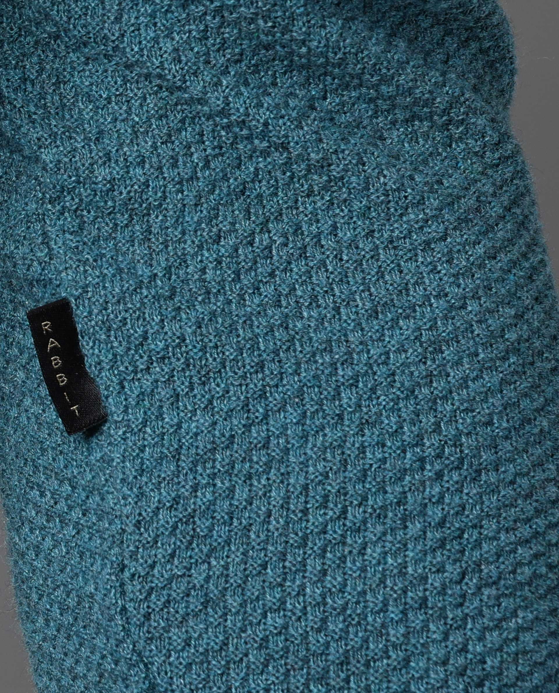 Rare Rabbit Men's Norway Turq Cotton Plain Regular Fit Full Sleeve Crew Neck Sweater - Image 2