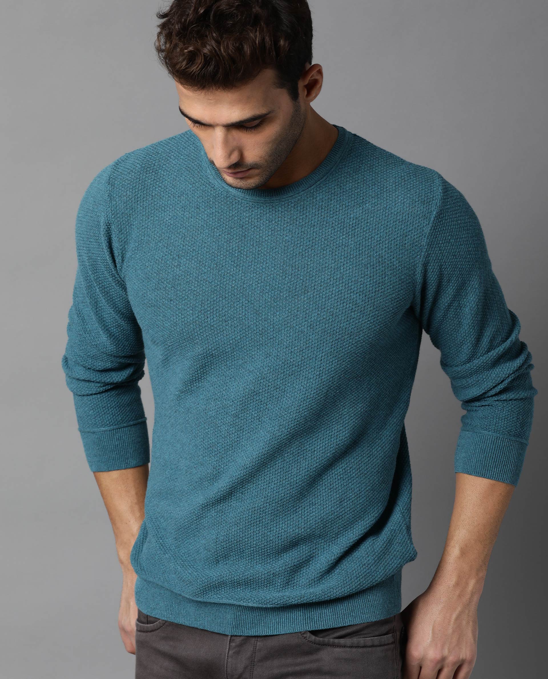Rare Rabbit Men's Norway Turq Cotton Plain Regular Fit Full Sleeve Crew Neck Sweater - Image 6