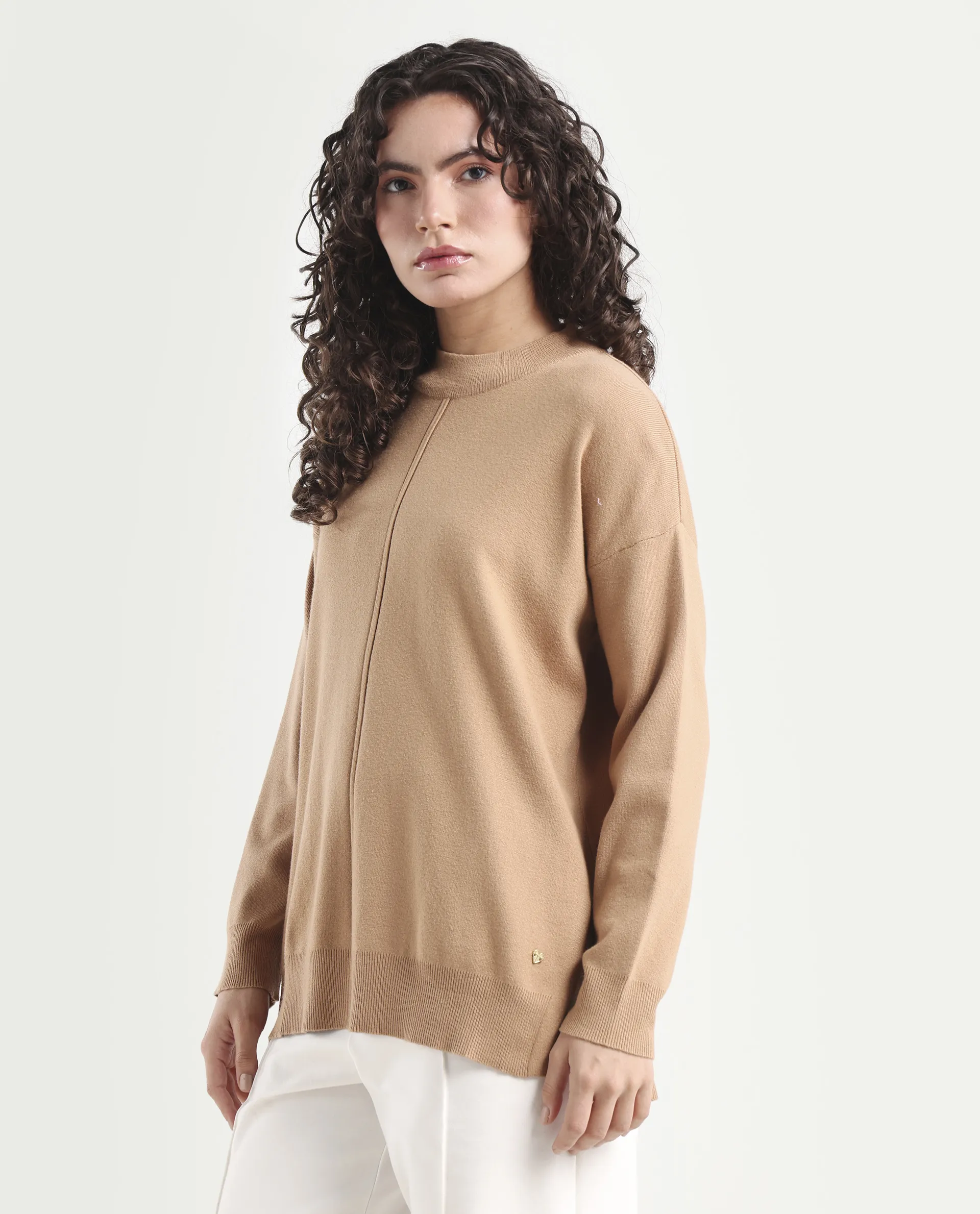 Rareism Women's Omerli T Light Beige Viscose High Neck Plain Oversized Sweater - Image 5