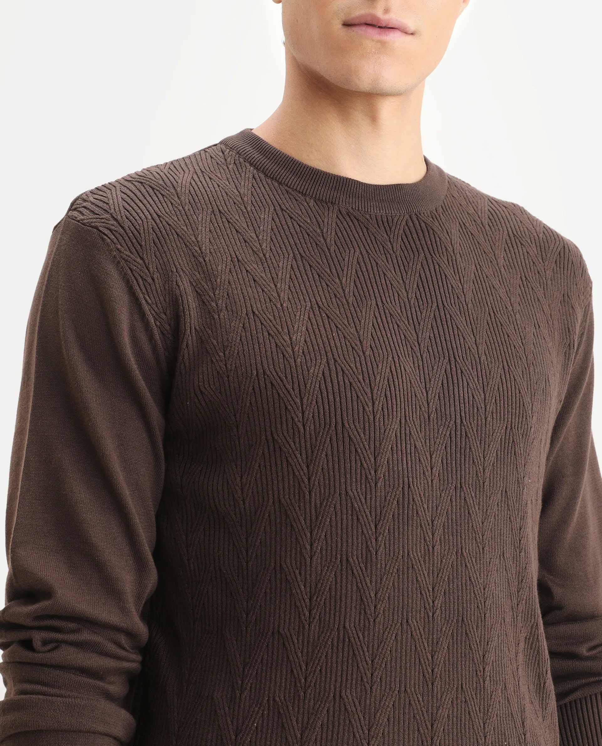 Rare Rabbit Men's Orito Brown Cotton Plain Regular Fit Full Sleeve Crew Neck Sweater - Image 3