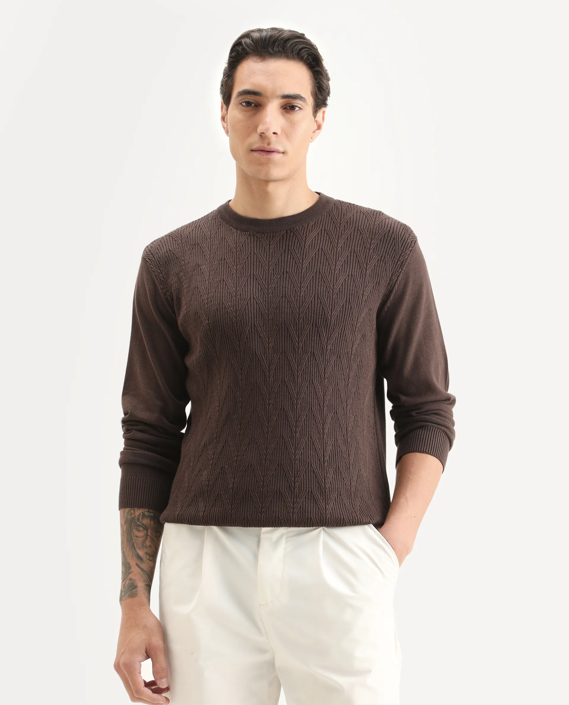 Rare Rabbit Men's Orito Brown Cotton Plain Regular Fit Full Sleeve Crew Neck Sweater - Image 4