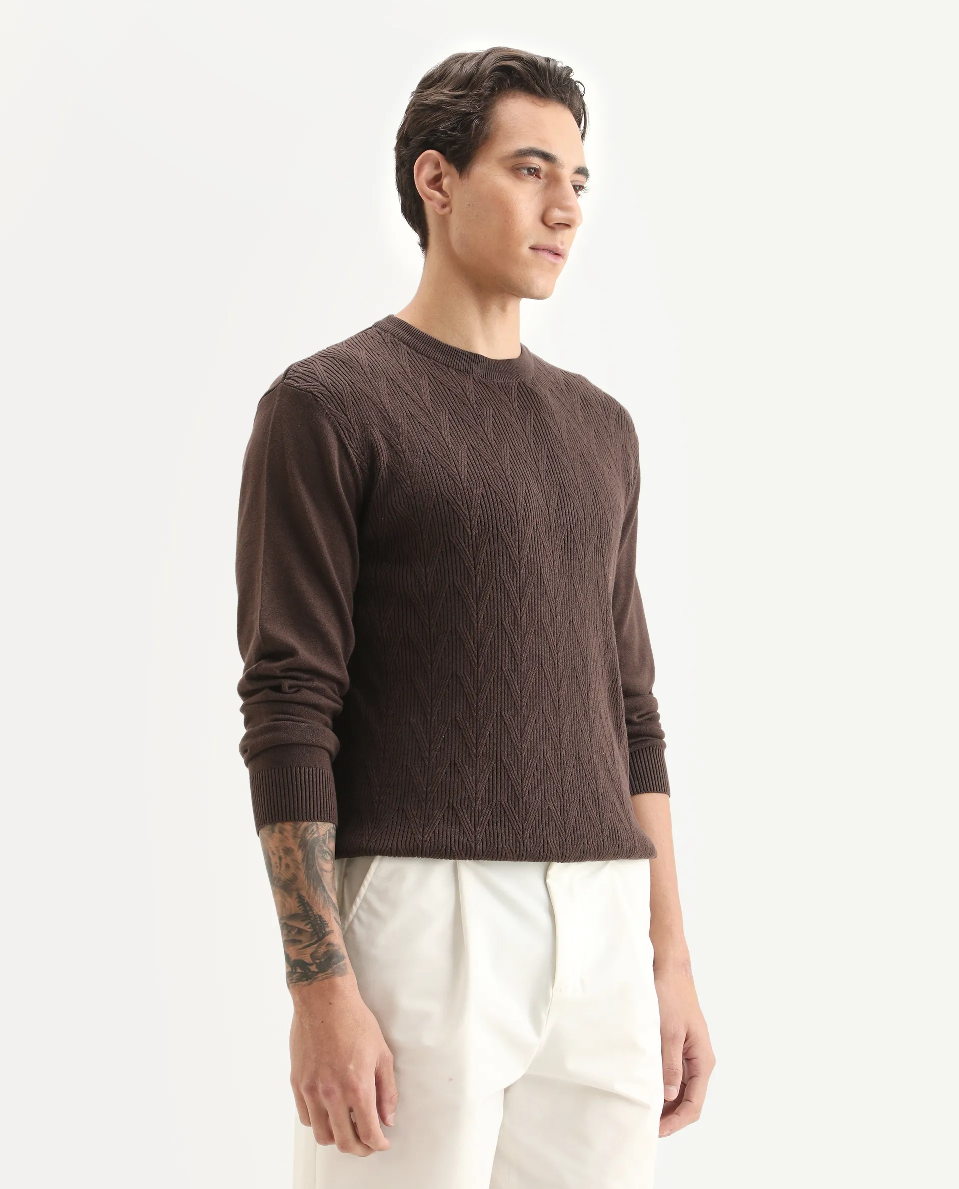 Rare Rabbit Men's Orito Brown Cotton Plain Regular Fit Full Sleeve Crew Neck Sweater - Image 6