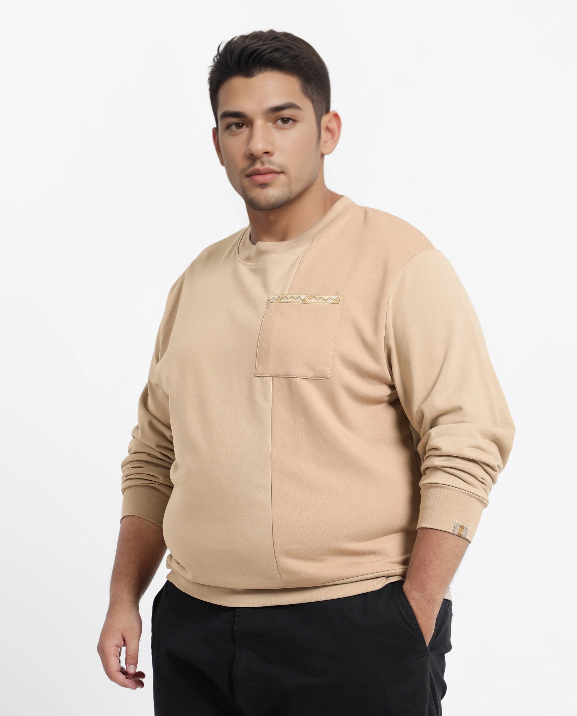 Rare Rabbit Men's Otese-L Beige Cotton Blend Cut And Sew Plus Size Full Sleeve Crew Neck Sweatshirt - Image 3