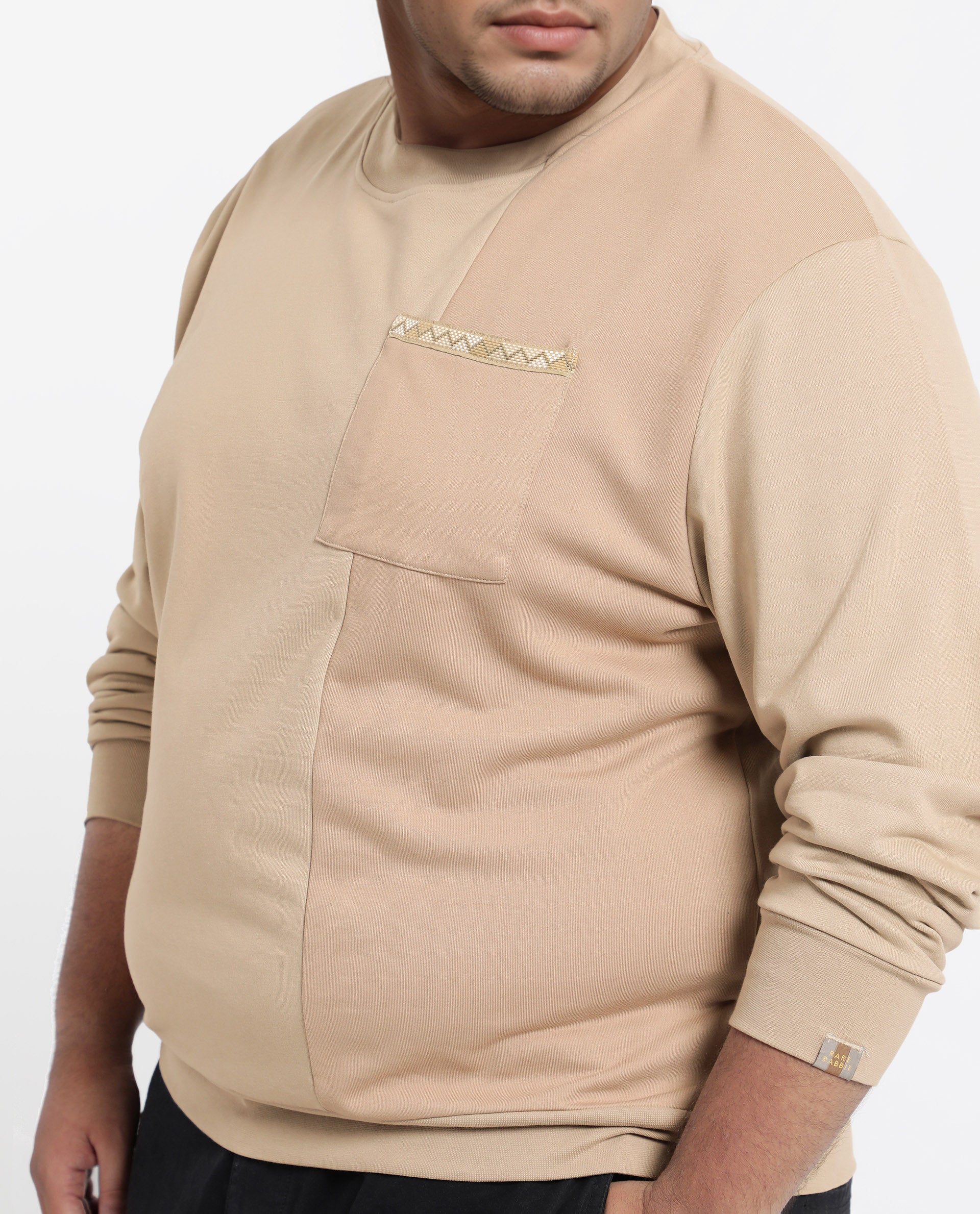 Rare Rabbit Men's Otese-L Beige Cotton Blend Cut And Sew Plus Size Full Sleeve Crew Neck Sweatshirt - Image 6