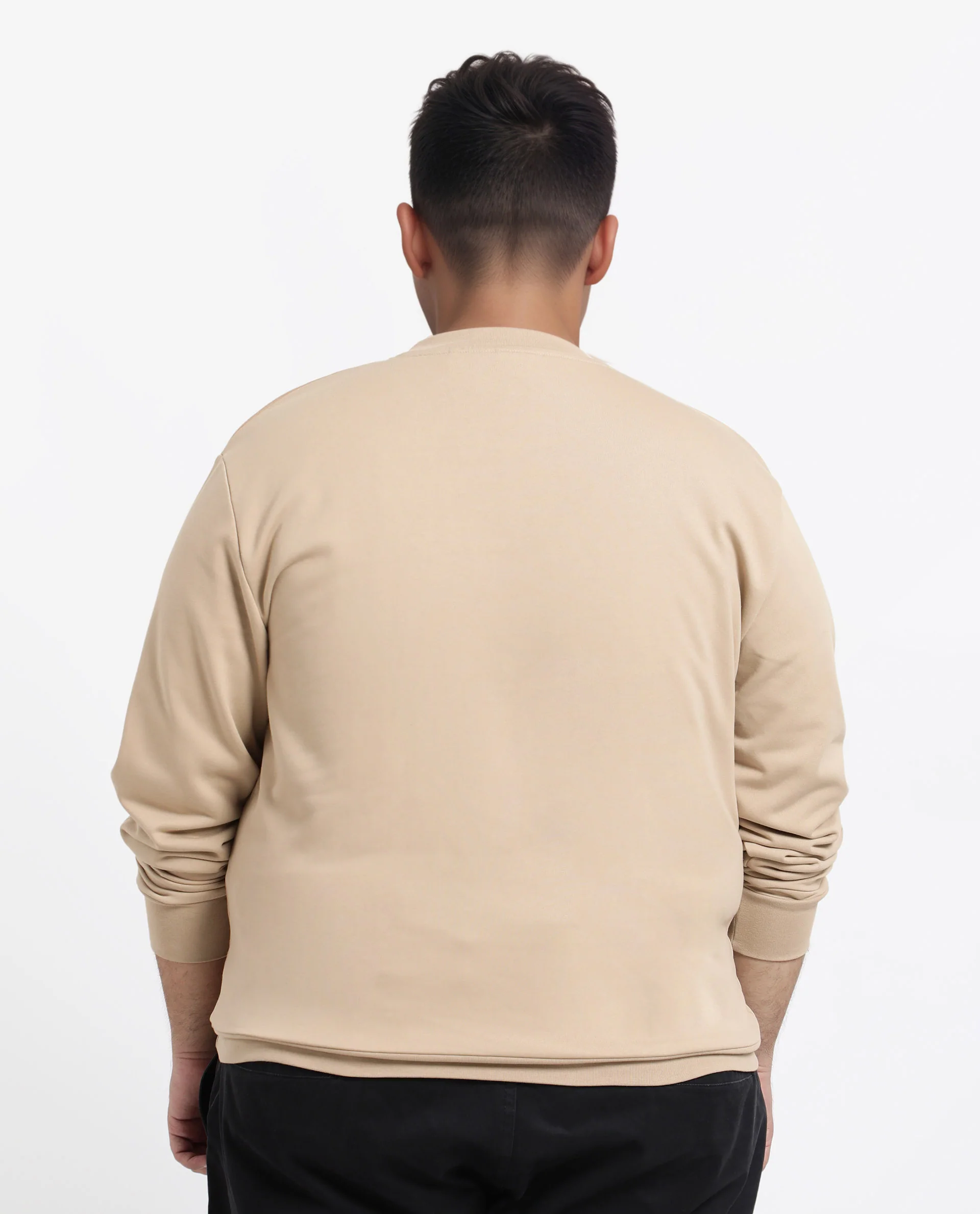 Rare Rabbit Men's Otese-L Beige Cotton Blend Cut And Sew Plus Size Full Sleeve Crew Neck Sweatshirt - Image 7