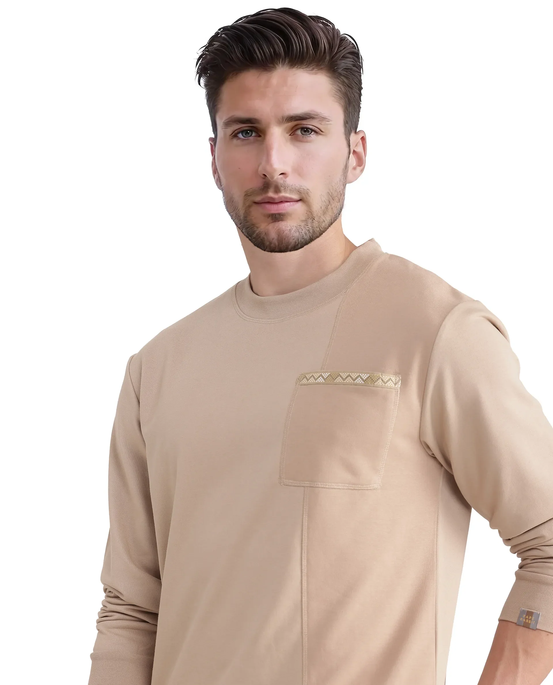 Rare Rabbit Men's Otese Beige Cotton Blend Cut And Sew Regular Fit Full Sleeve Crew Neck Sweatshirt - Image 7