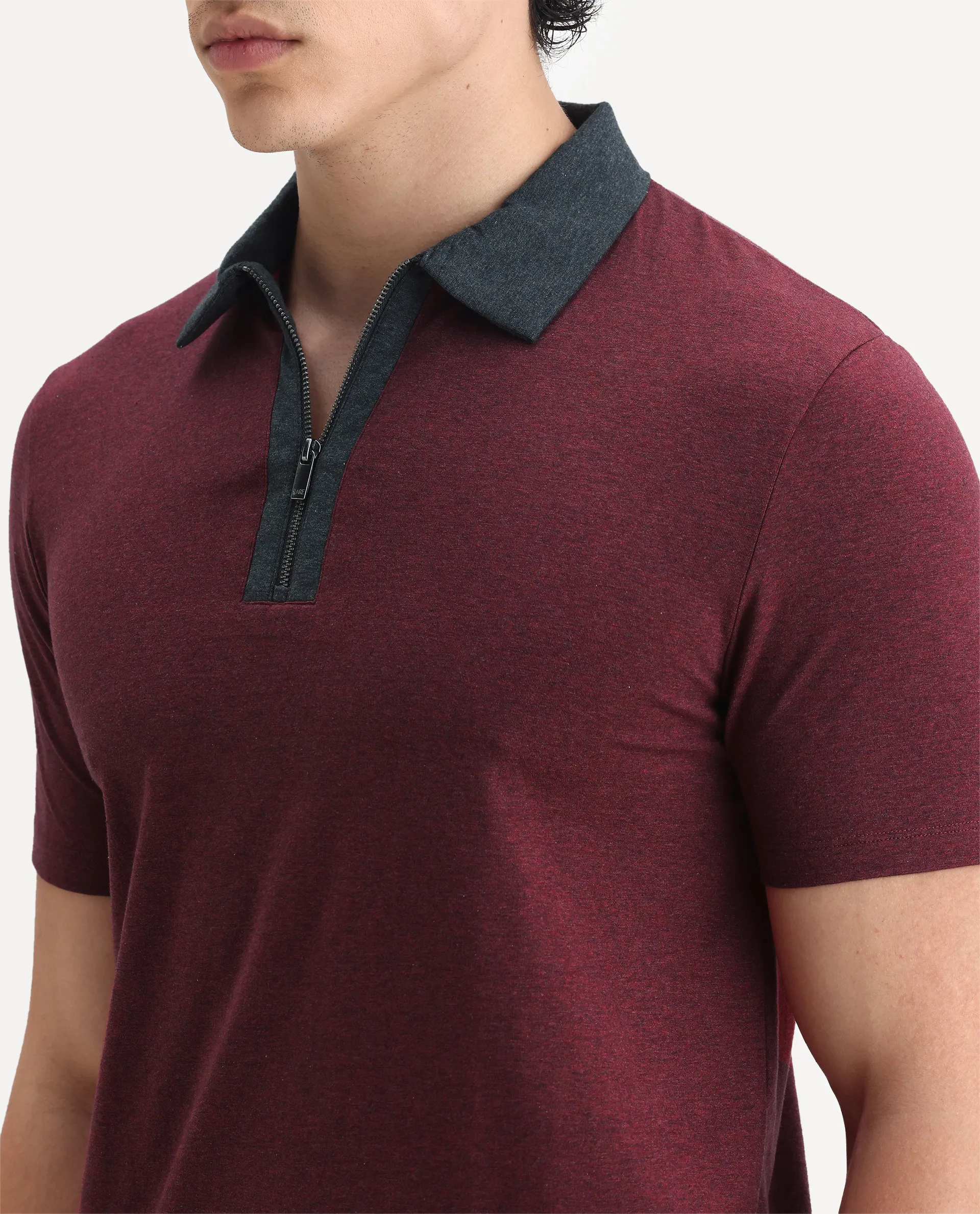Rare Rabbit Men's Panel Dark Red Cotton Plain Regular Fit Half Sleeve Polo - Image 3