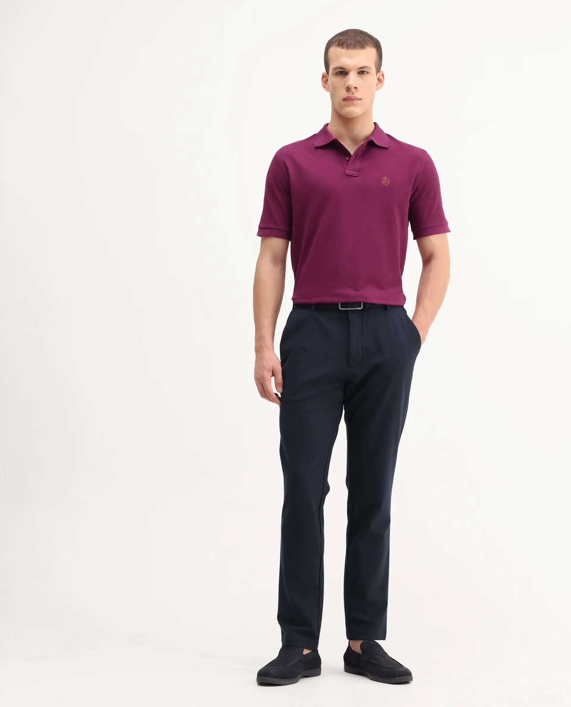 Rare Rabbit Men's Pare-1 Dark Purple Cotton Plain Regular Fit Half Sleeve Polo - Image 2