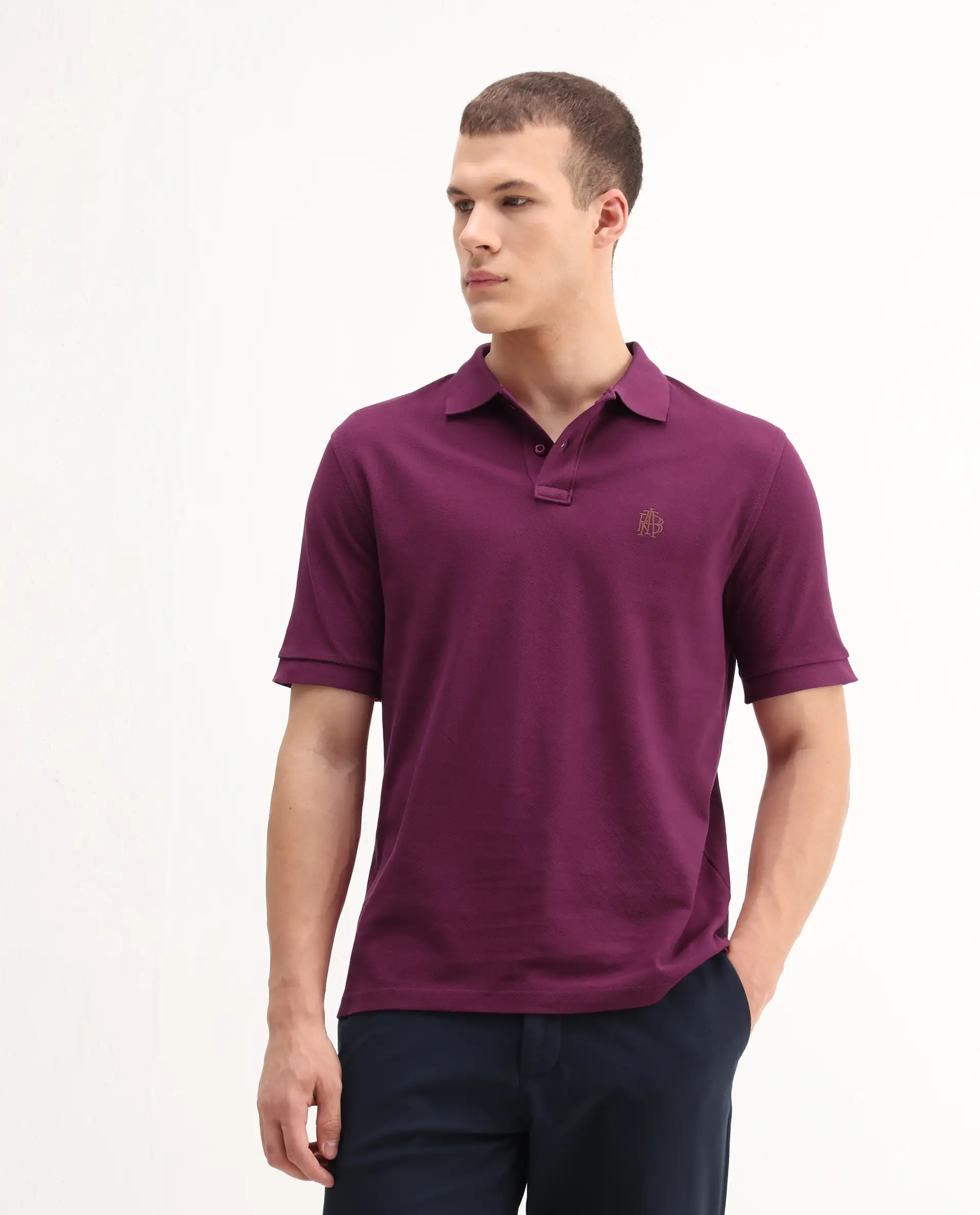 Rare Rabbit Men's Pare-1 Dark Purple Cotton Plain Regular Fit Half Sleeve Polo - Image 3