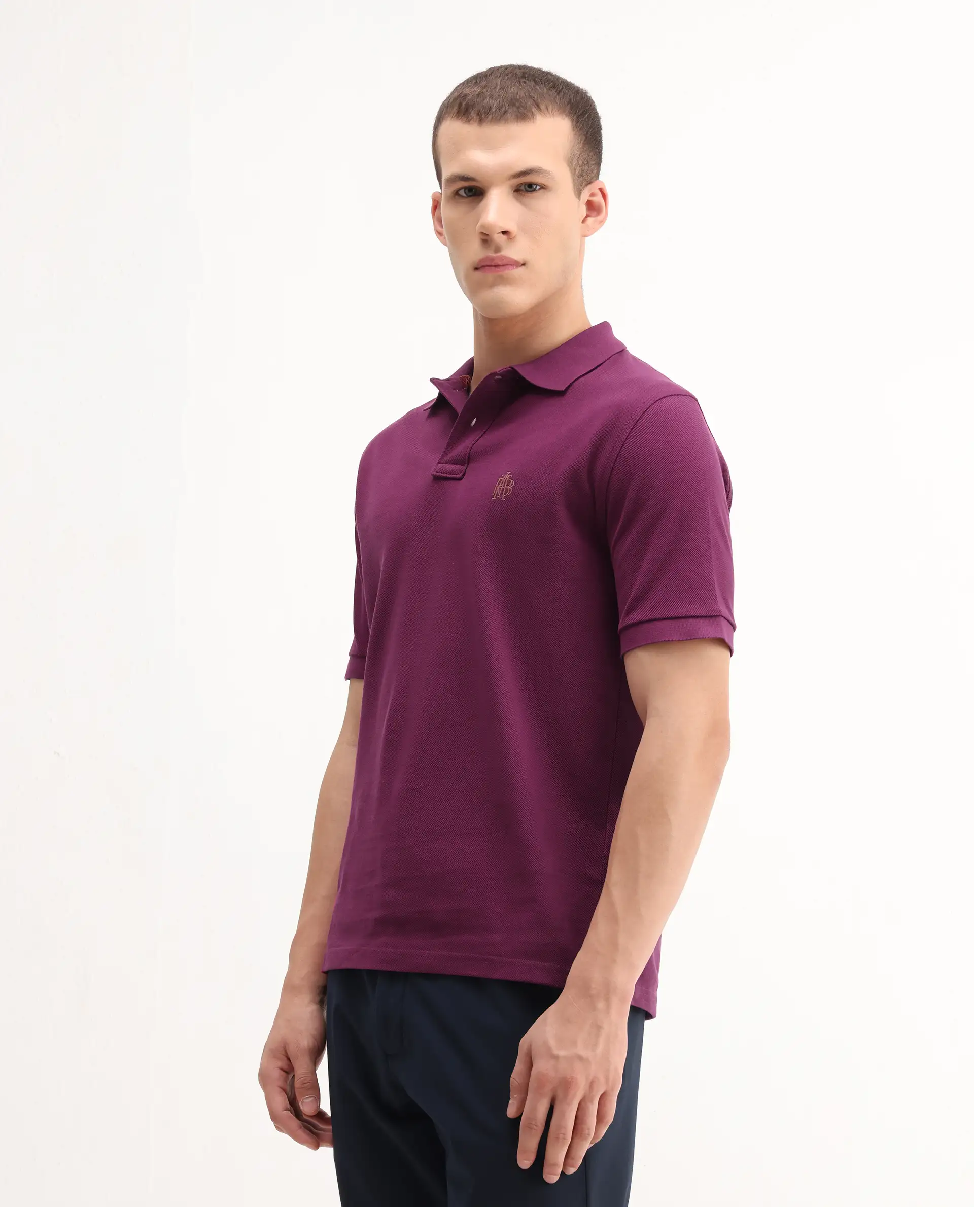 Rare Rabbit Men's Pare-1 Dark Purple Cotton Plain Regular Fit Half Sleeve Polo - Image 6
