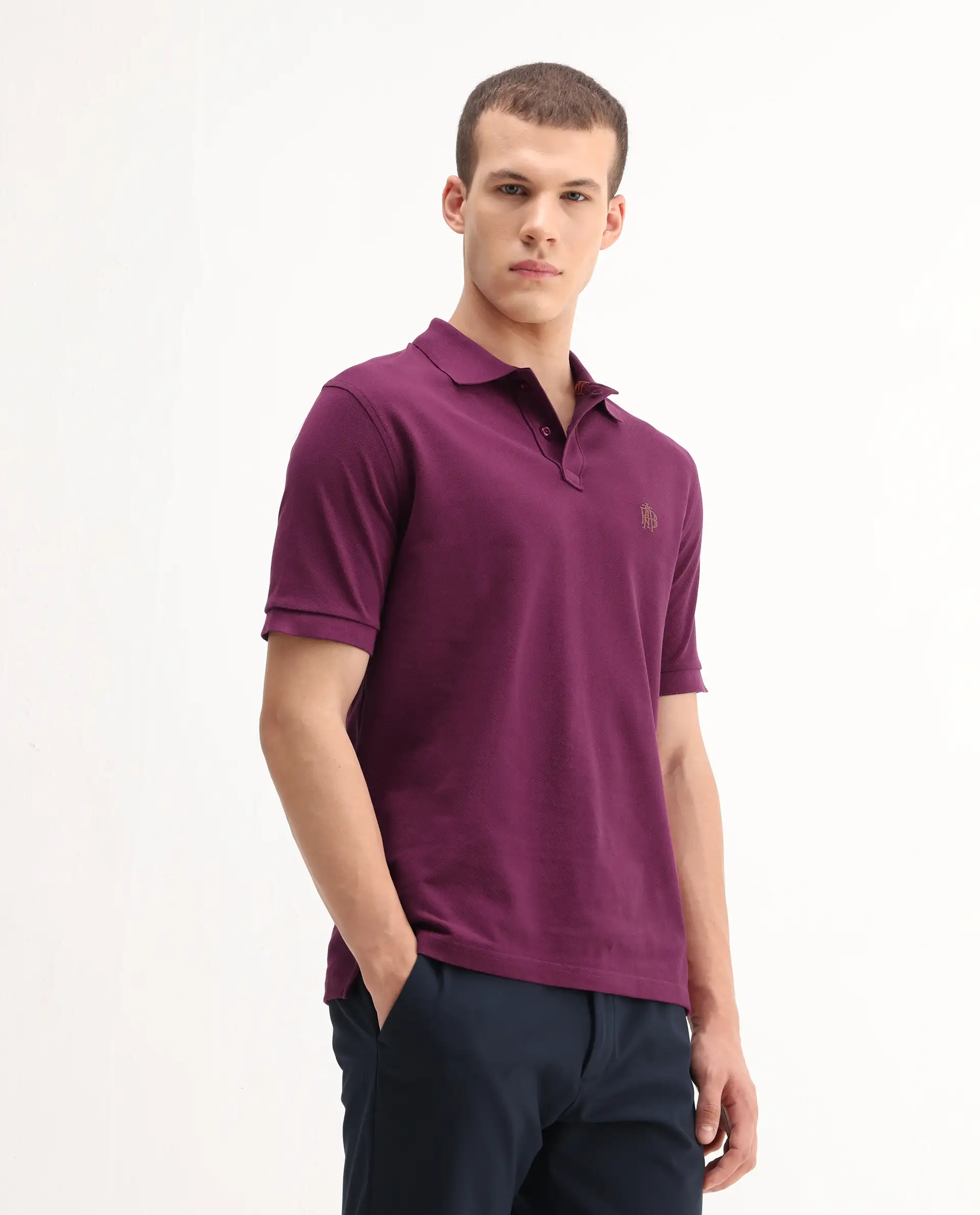 Rare Rabbit Men's Pare-1 Dark Purple Cotton Plain Regular Fit Half Sleeve Polo - Image 7