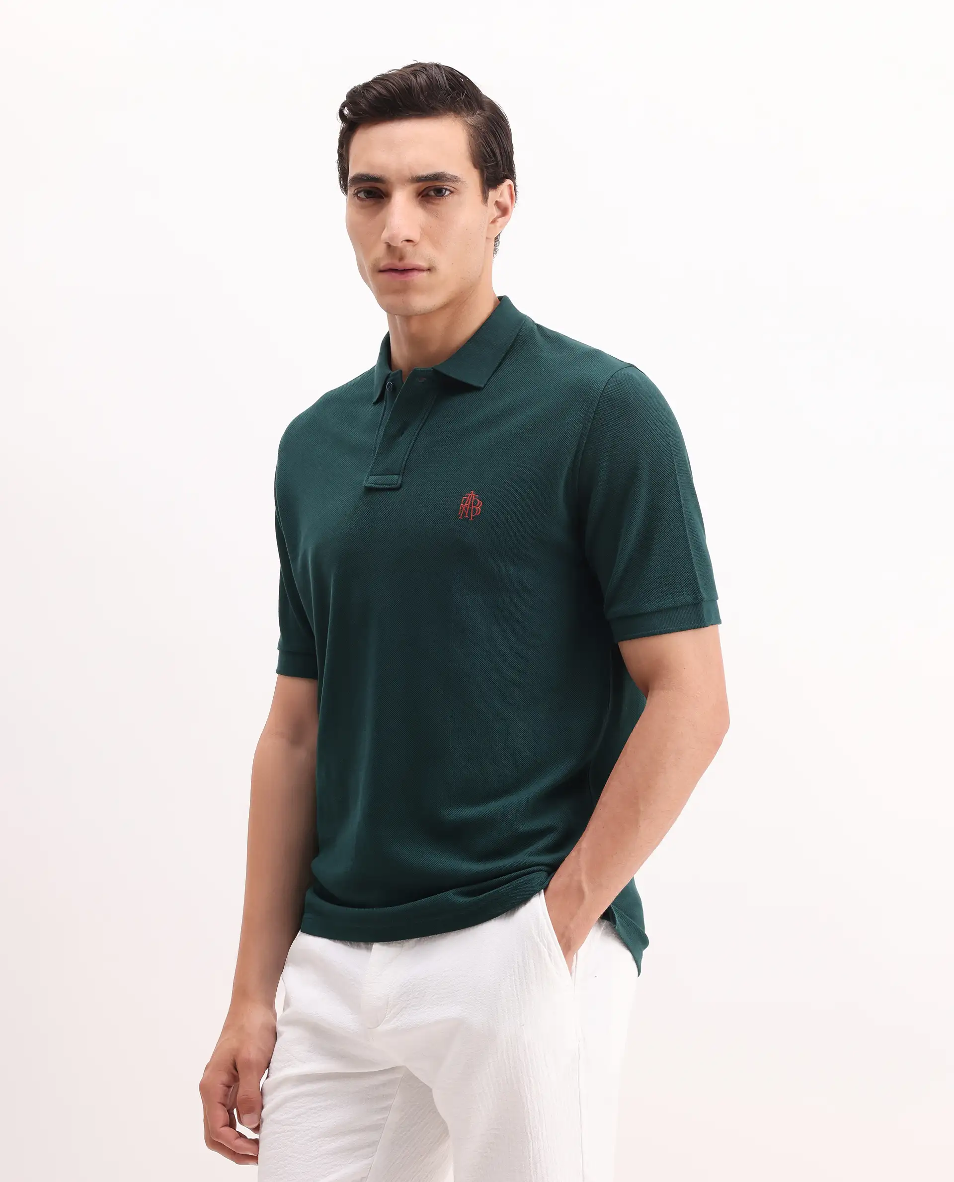 Rare Rabbit Men's Pare Green Cotton Embroidered Regular Fit Half Sleeve Polo - Image 5