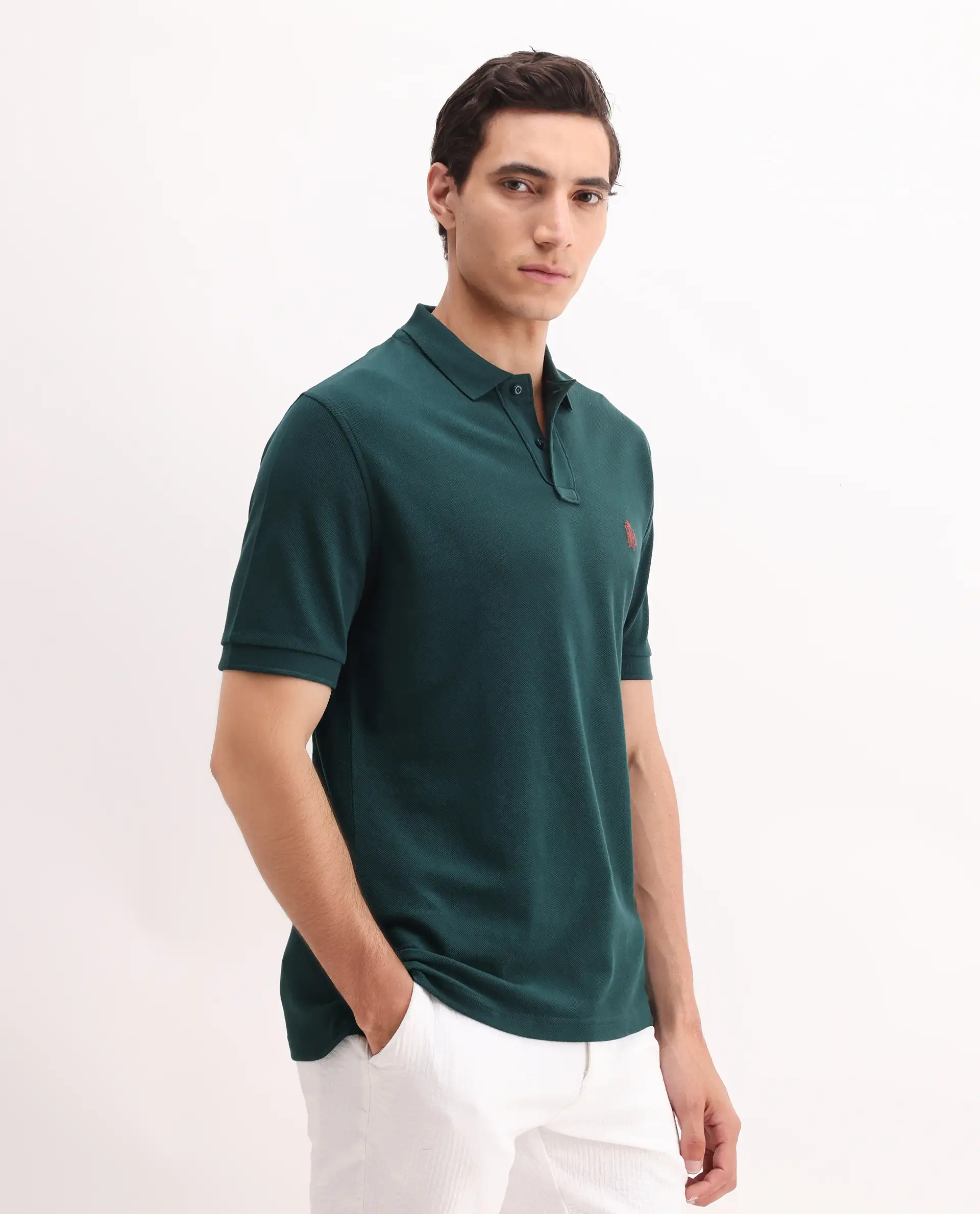 Rare Rabbit Men's Pare Green Cotton Embroidered Regular Fit Half Sleeve Polo - Image 6