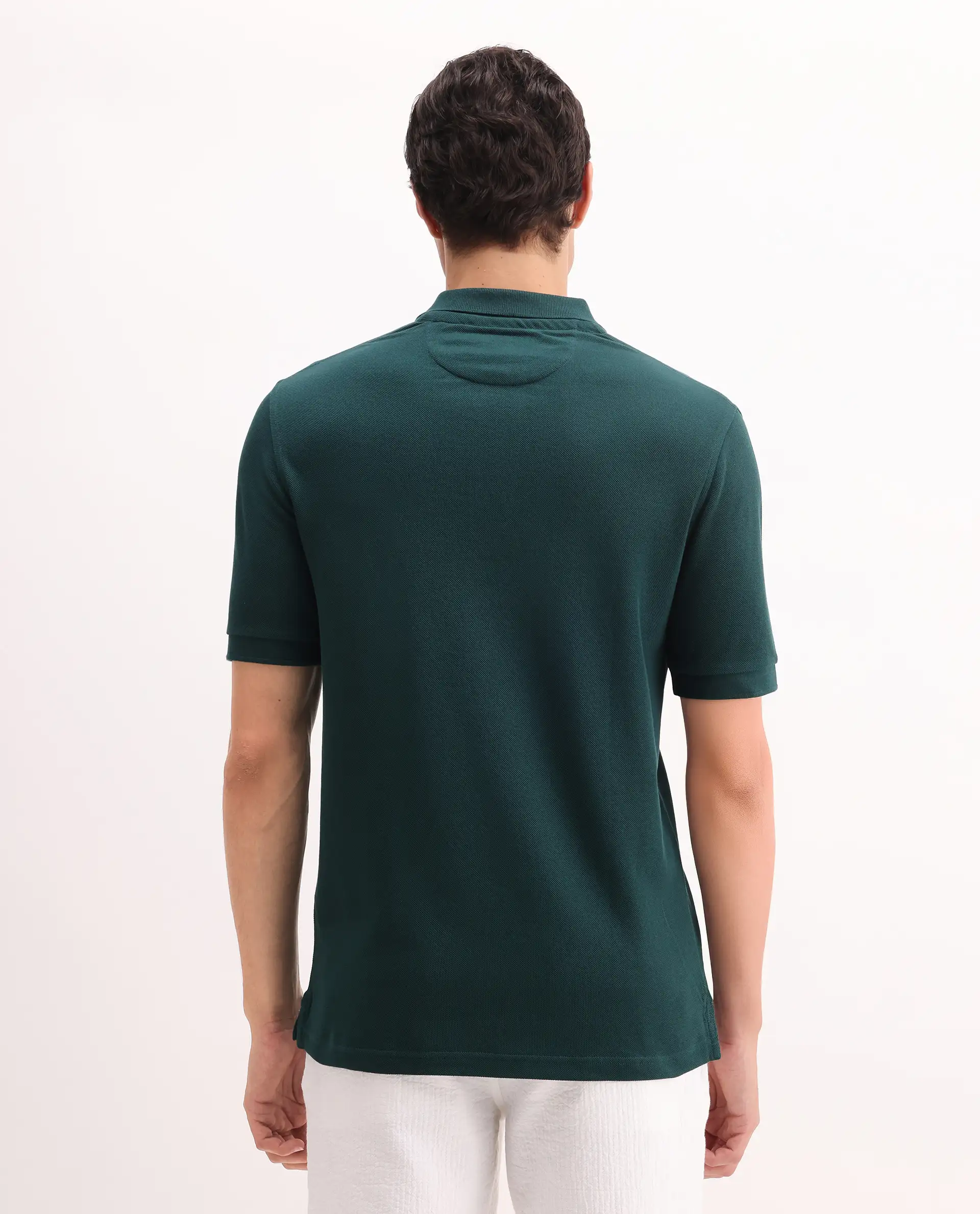 Rare Rabbit Men's Pare Green Cotton Embroidered Regular Fit Half Sleeve Polo - Image 7