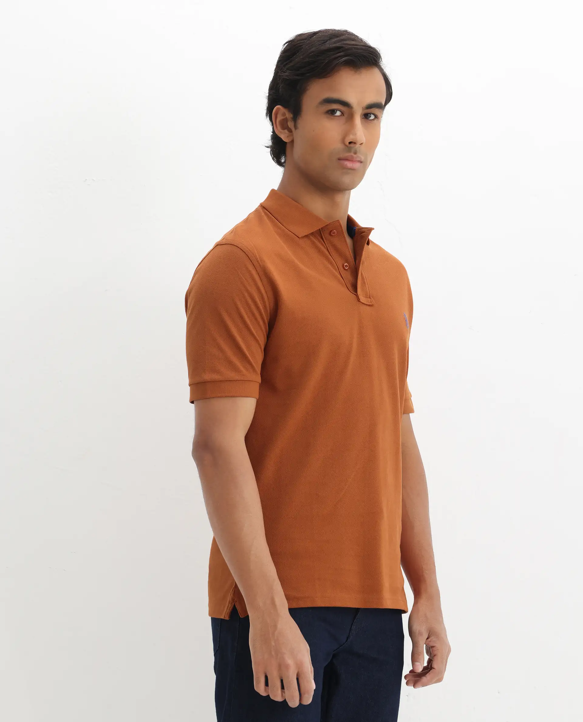 Rare Rabbit Men's Pareto Rust Cotton Embroidered Regular Fit Half Sleeve Polo - Image 6