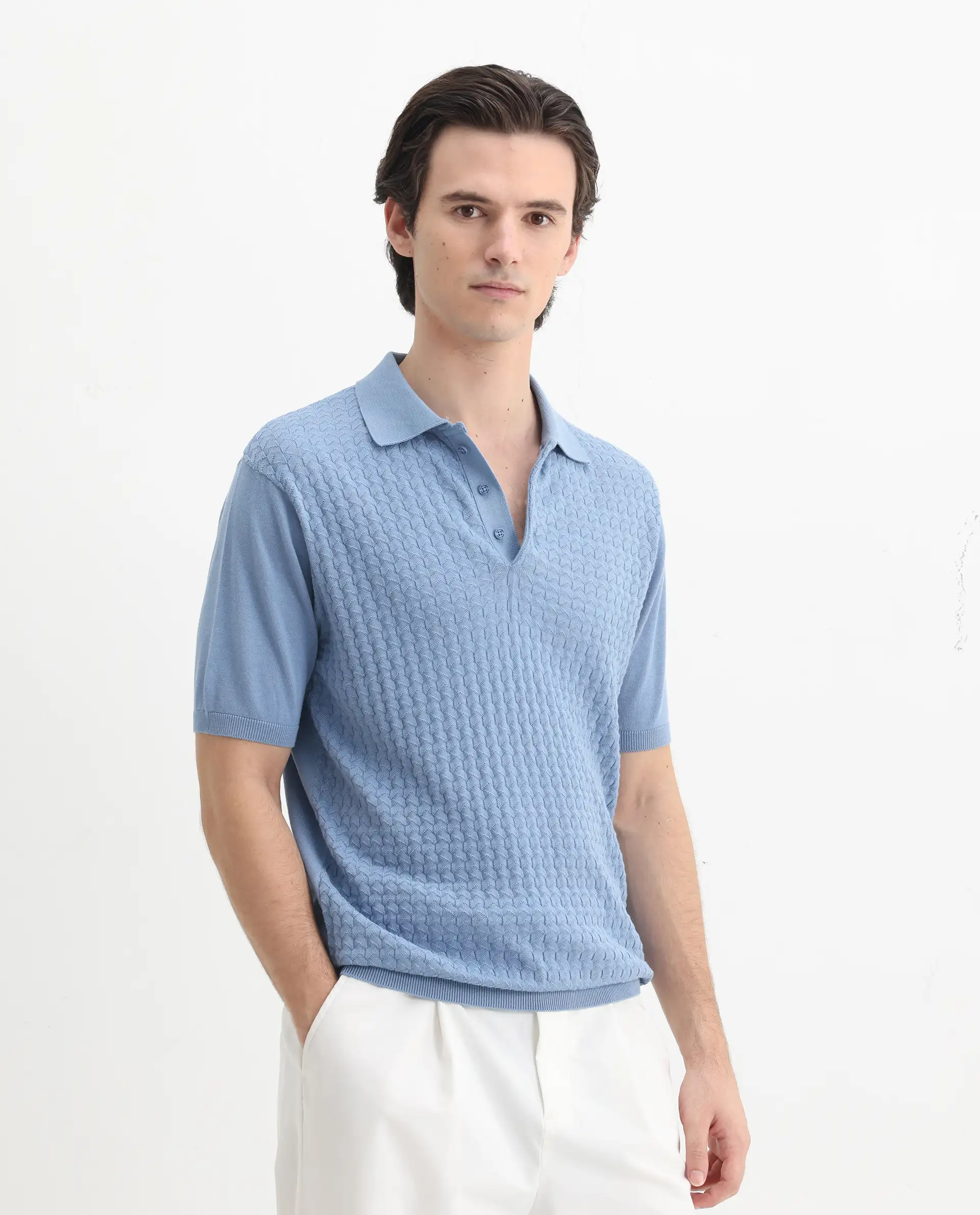Rare Rabbit Men's Pasto Dusky Blue Cotton Textured Regular Fit Half Sleeve Polo - Image 6