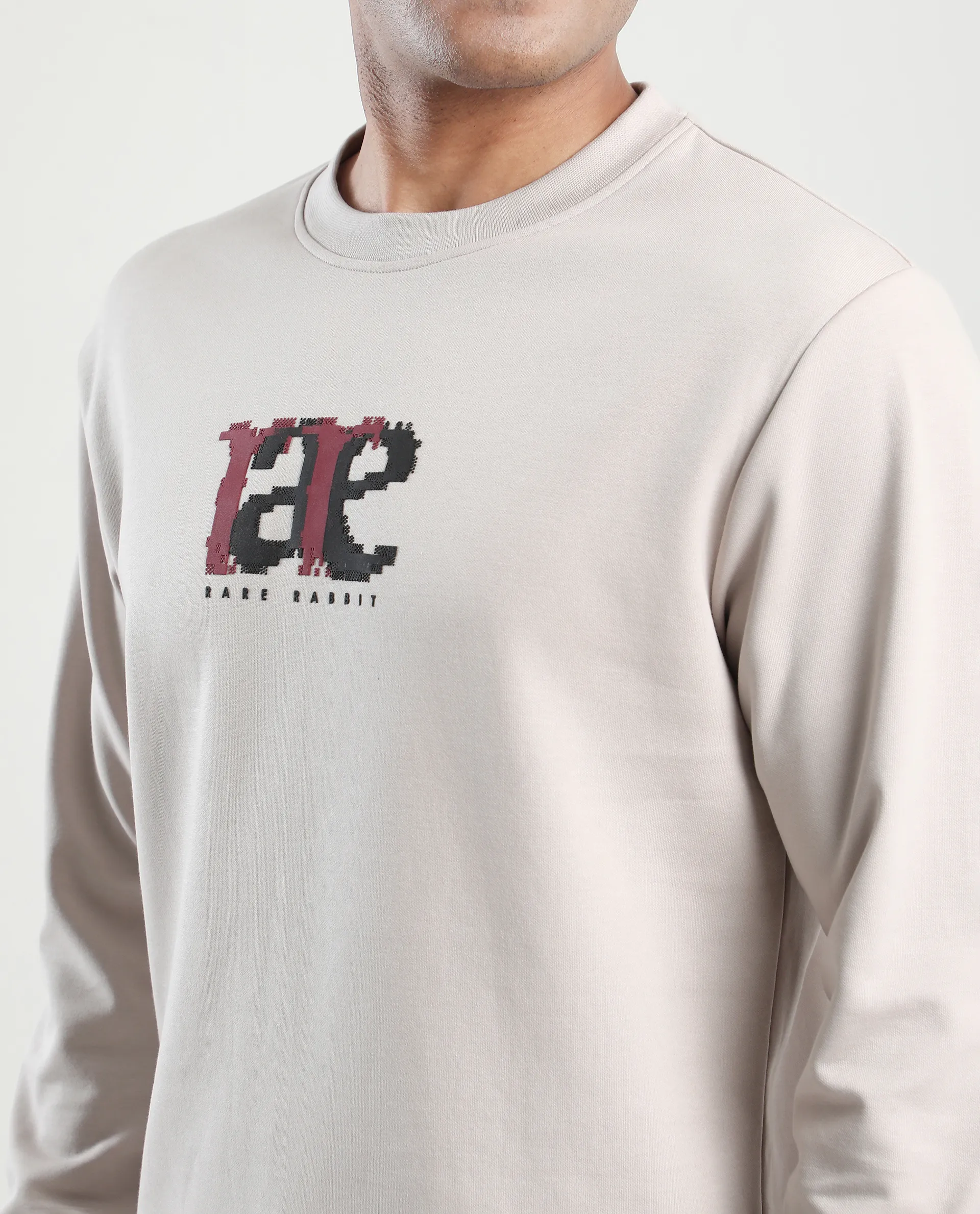 Rare Rabbit Men's Pixen Light Beige Cotton Blend Graphic Print Regular Fit Full Sleeve Crew Neck Sweatshirt - Image 3
