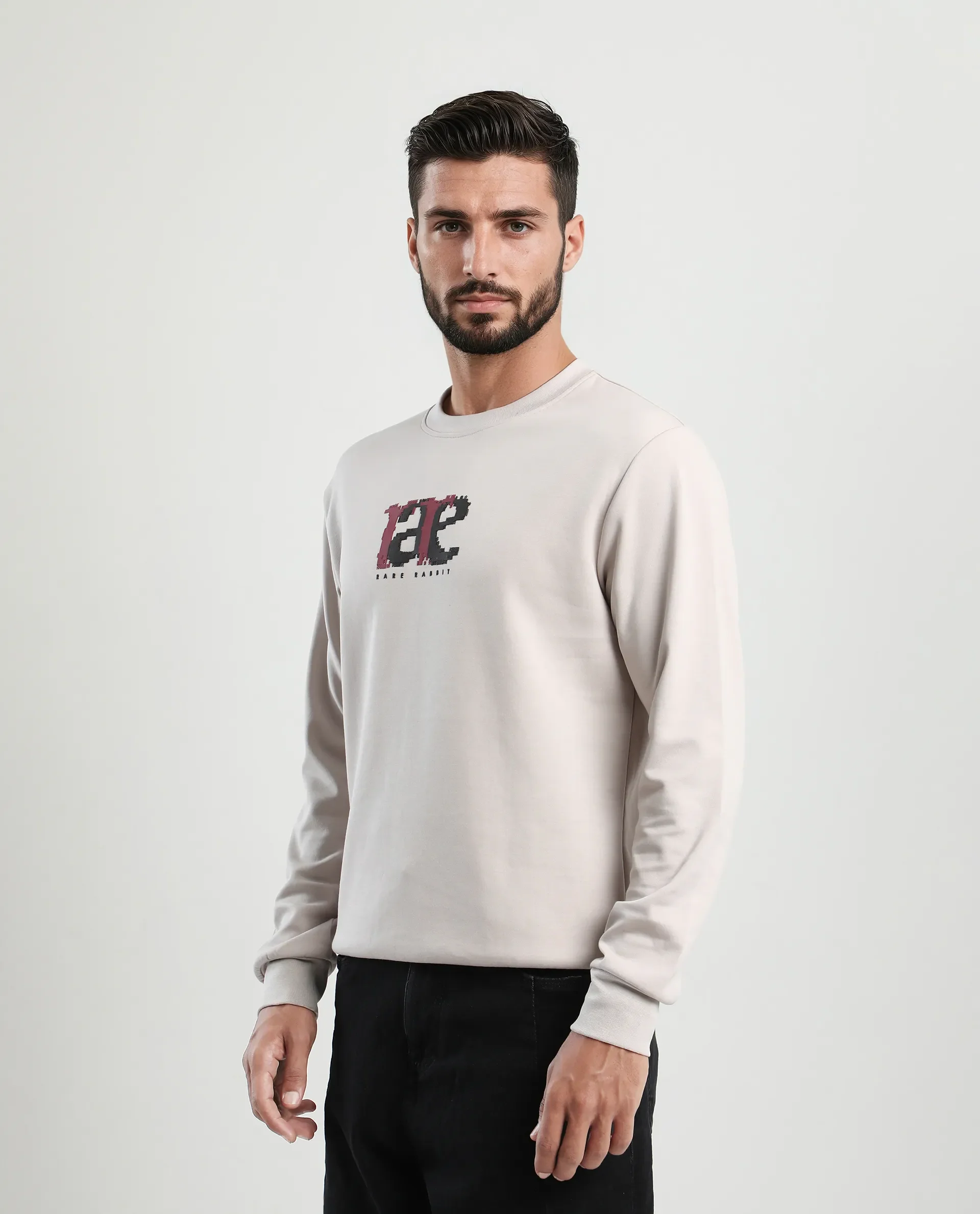 Rare Rabbit Men's Pixen Light Beige Cotton Blend Graphic Print Regular Fit Full Sleeve Crew Neck Sweatshirt - Image 4