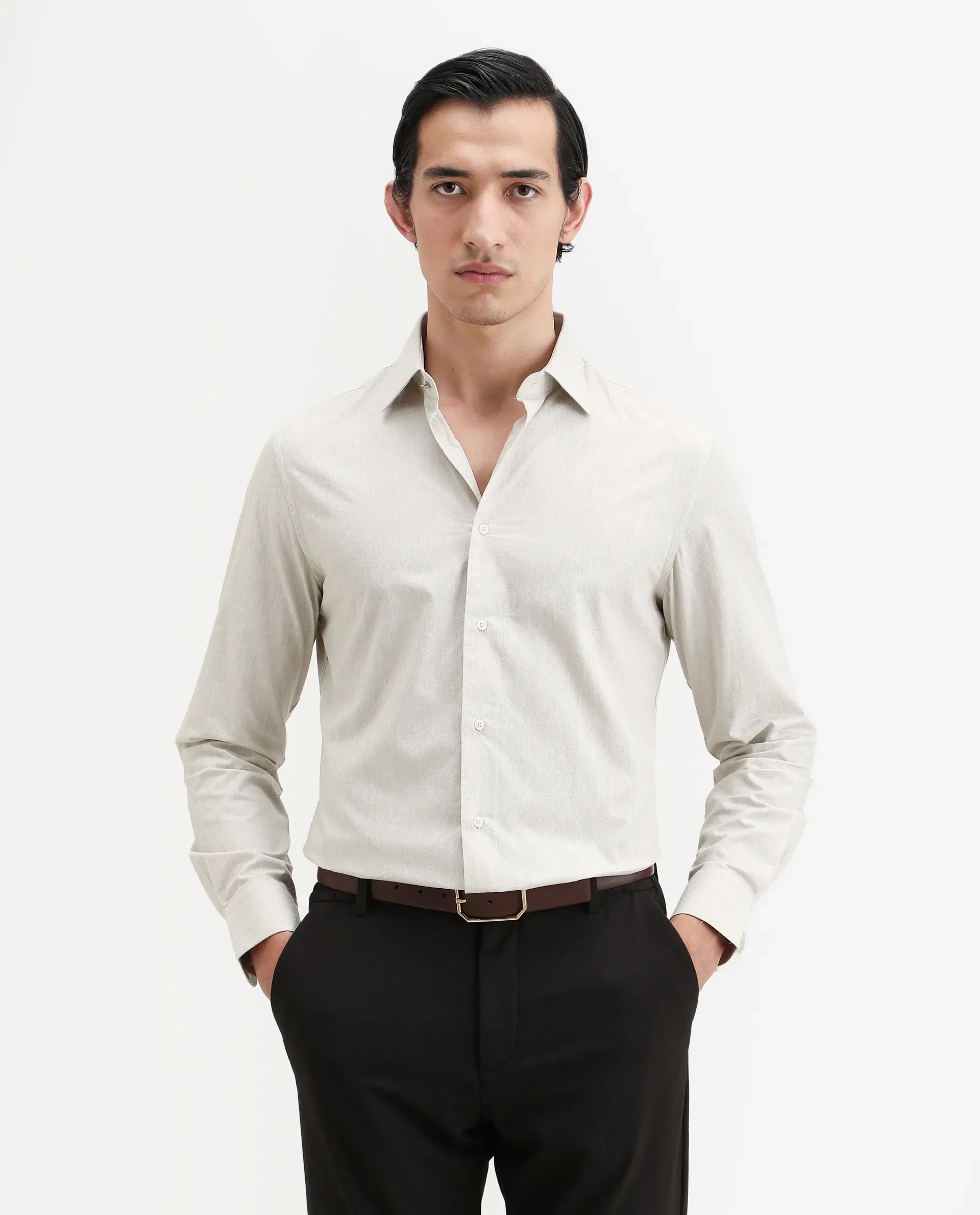 Rare Rabbit Men's Plib Beige Cotton Jacquard Regular Fit Full Sleeve Collared Shirt