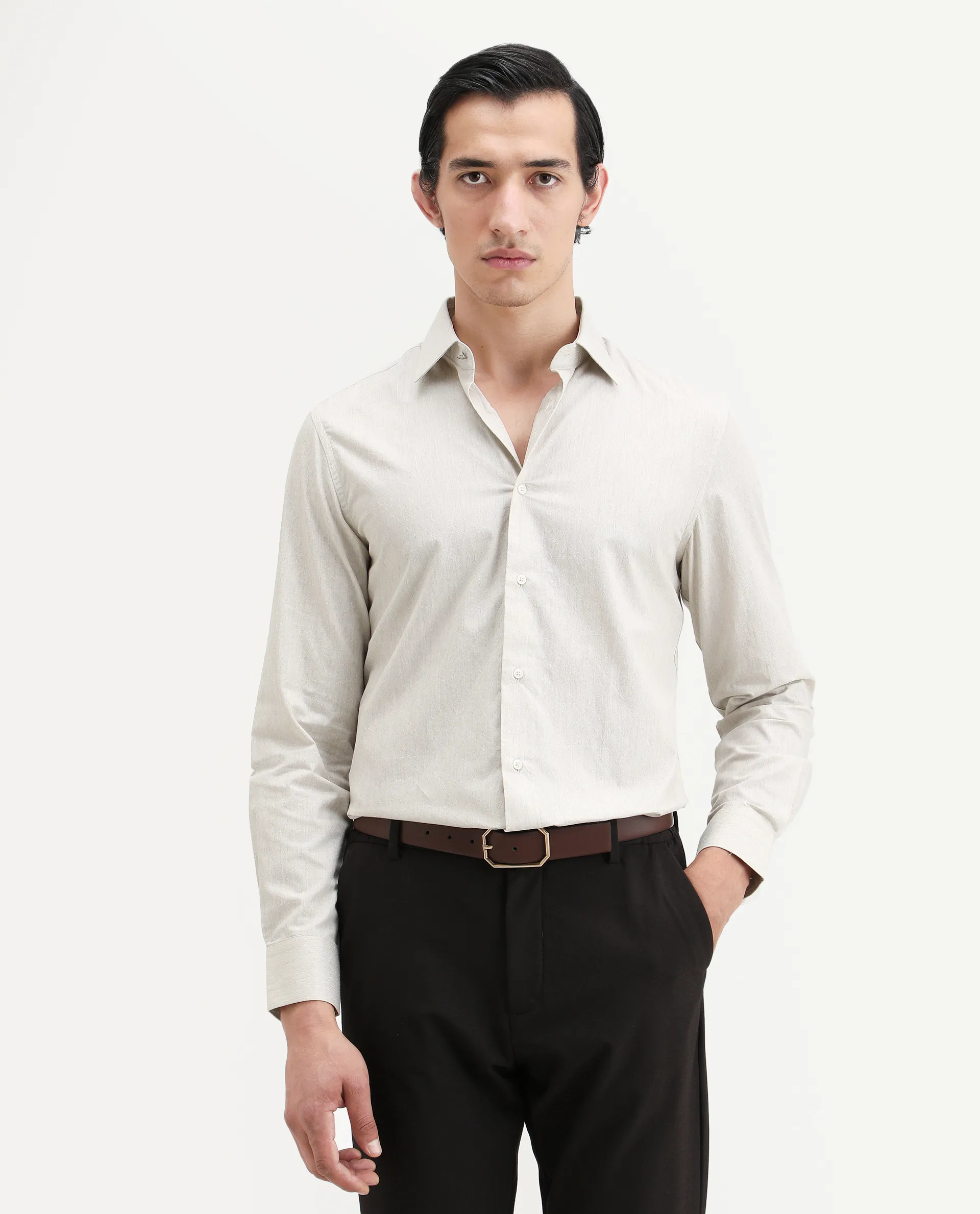 Rare Rabbit Men's Plib Beige Cotton Jacquard Regular Fit Full Sleeve Collared Shirt - Image 3