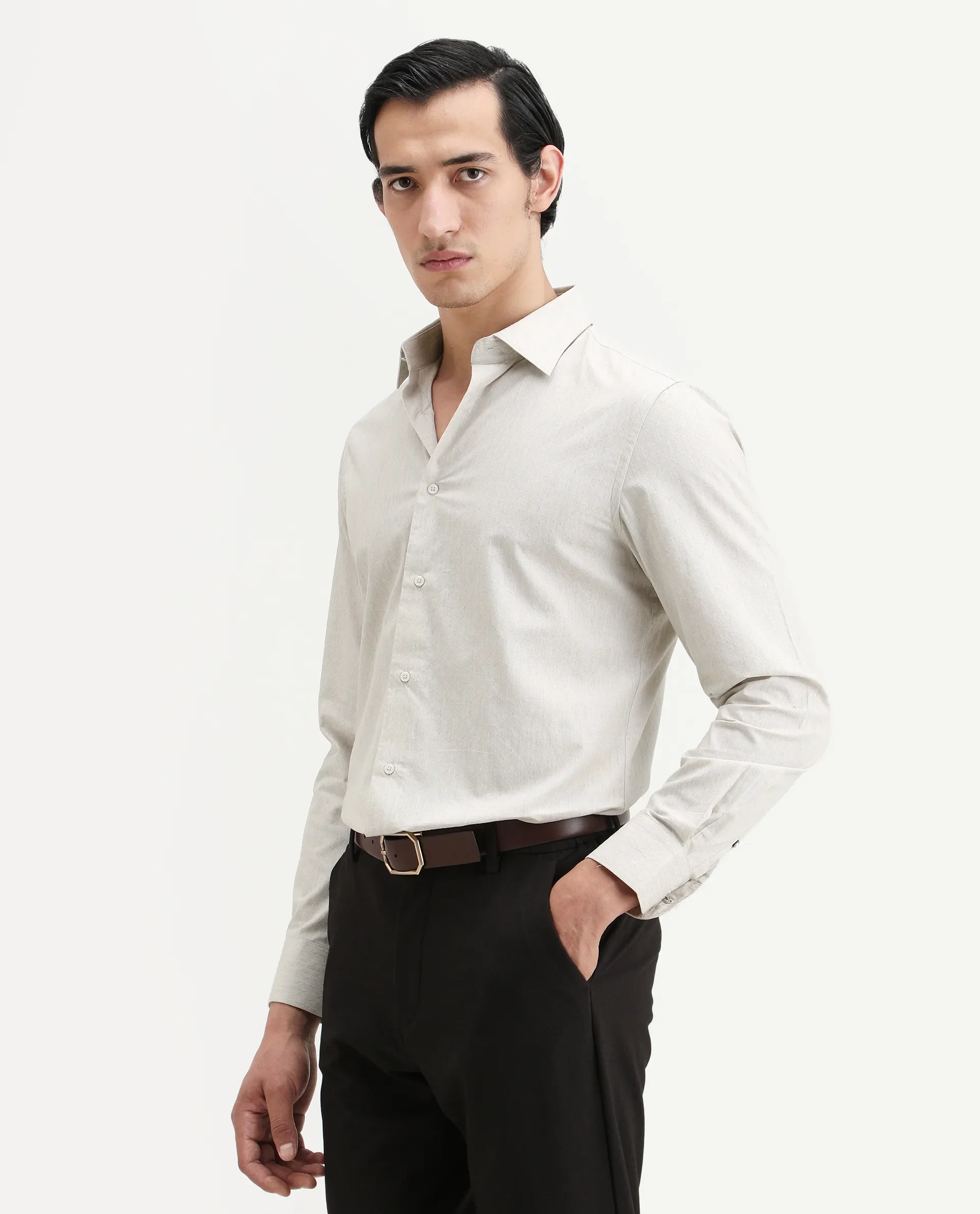 Rare Rabbit Men's Plib Beige Cotton Jacquard Regular Fit Full Sleeve Collared Shirt - Image 6