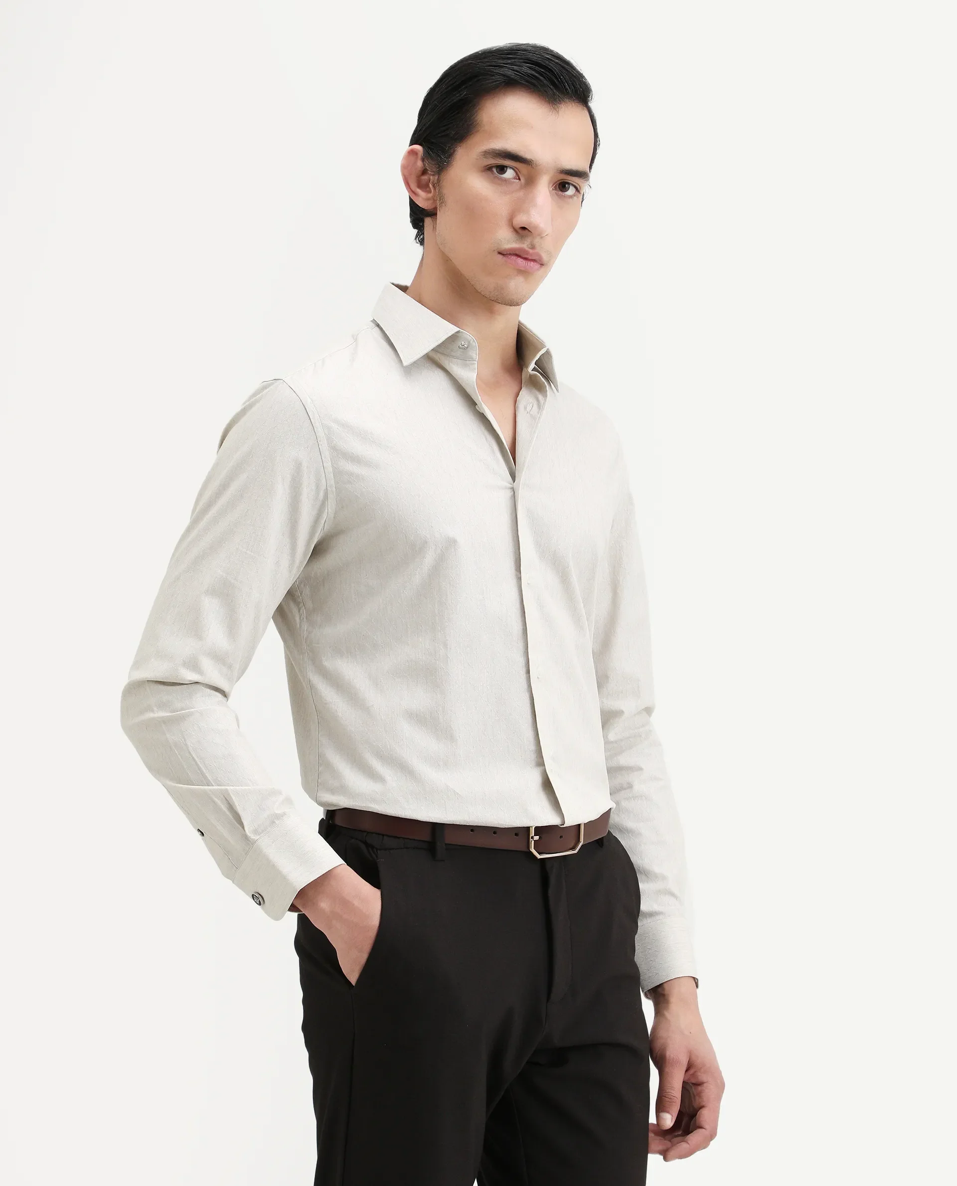 Rare Rabbit Men's Plib Beige Cotton Jacquard Regular Fit Full Sleeve Collared Shirt - Image 7