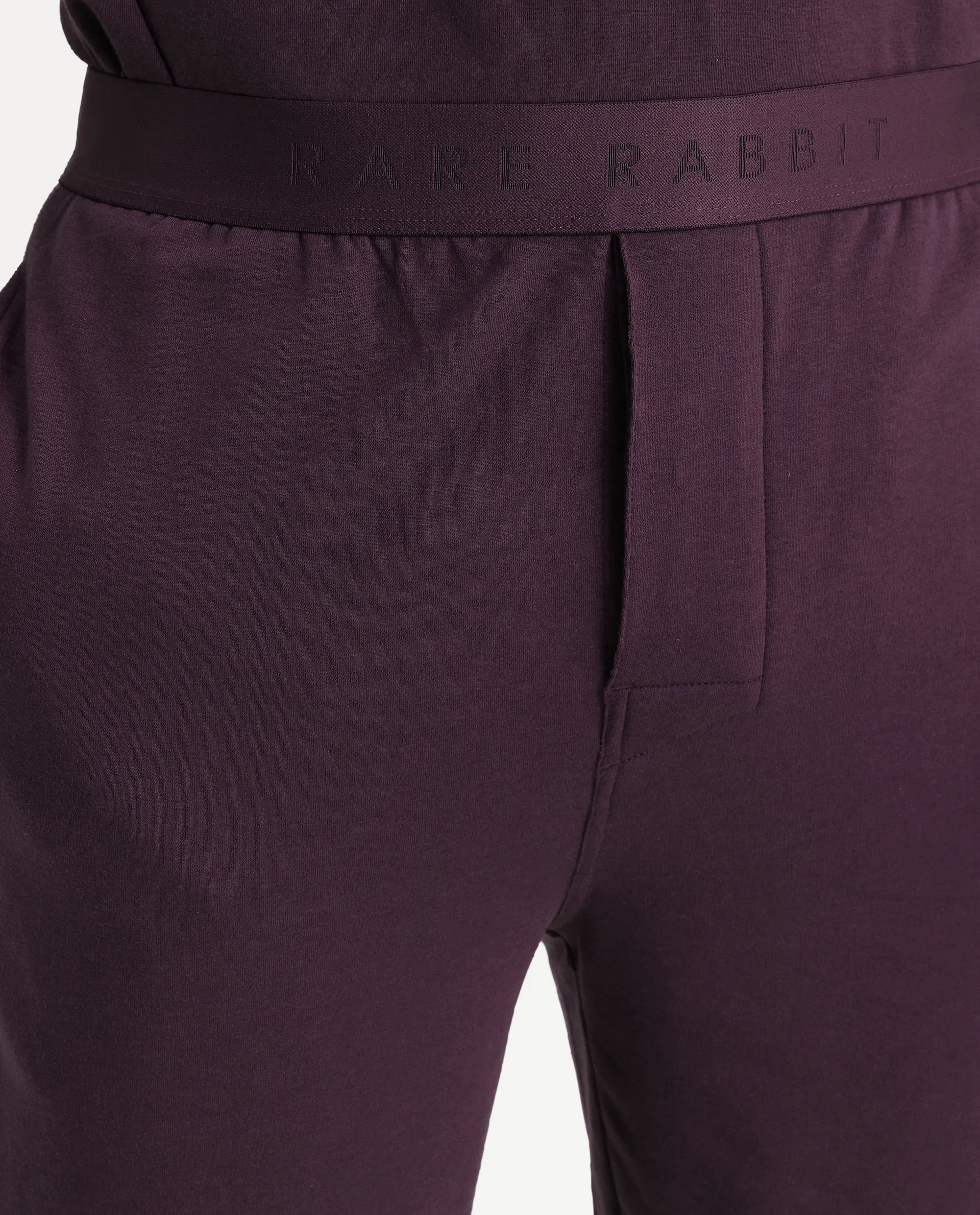 Rare Rabbit Men's Pont Maroon Cotton Fabric Relaxed Fit Plain Stretchable Shorts - Image 2