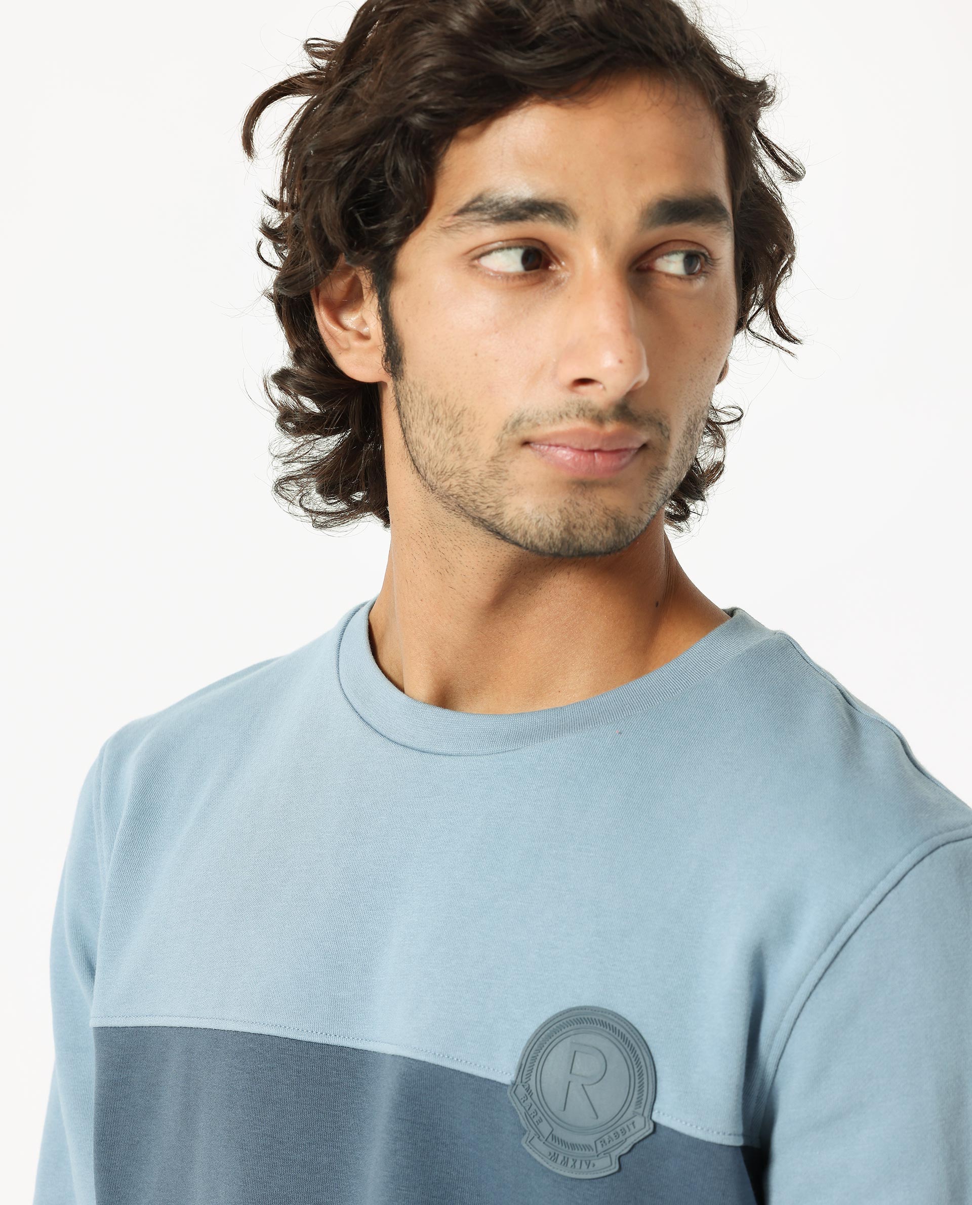 Rare Rabbit Men's Privett Blue Cotton Ombre Relaxed Fit Full Sleeve Crew Neck Sweatshirt - Image 8