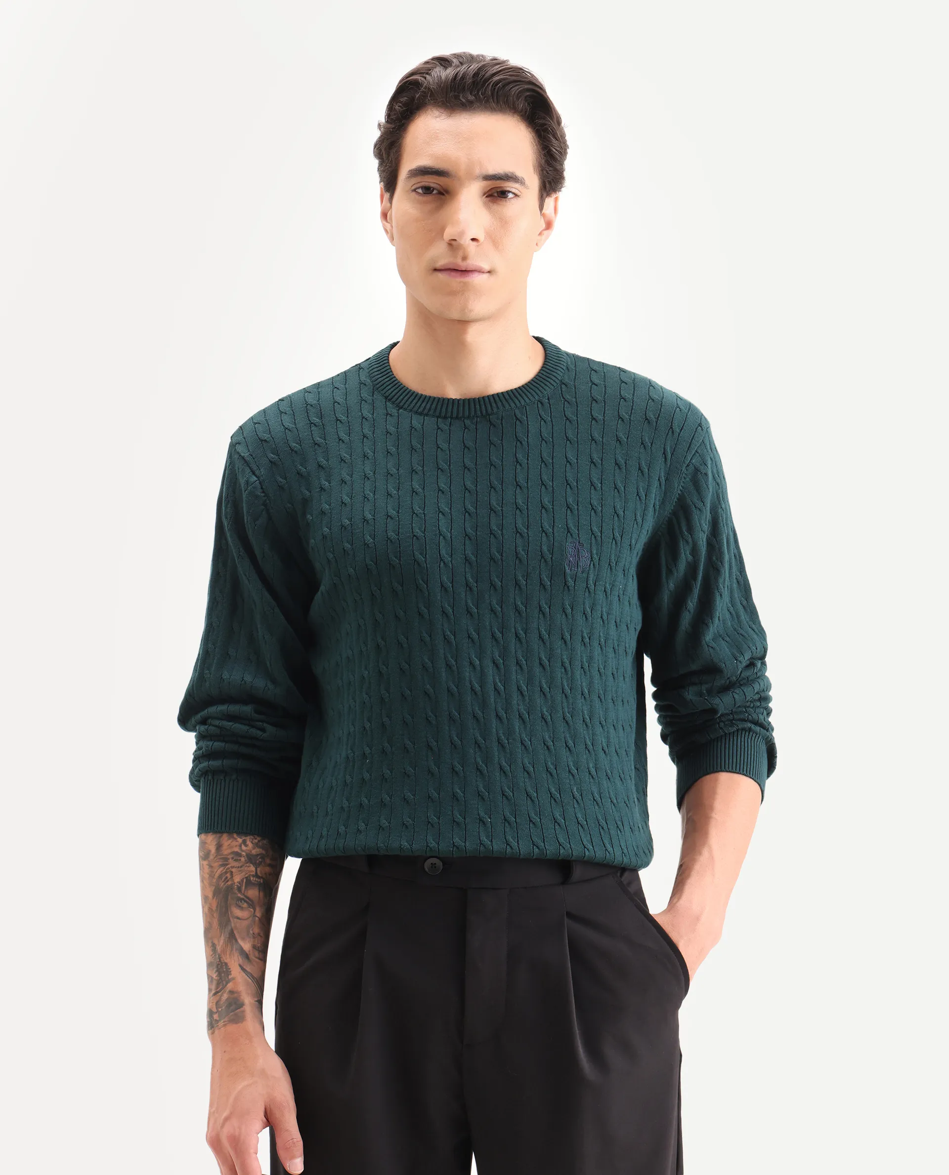 Rare Rabbit Men's Prota Dark Green Cotton Plain Regular Fit Full Sleeve Crew Neck Sweater - Image 4